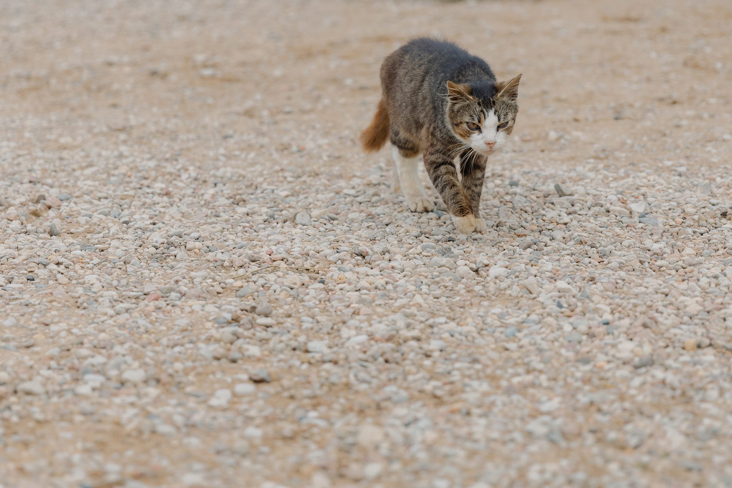Корпоративная фотосъемка для ОАО Белагропромбанк в Суле в Загородном комплексе Westa. Свадебный фотограф в Минске/Беларуси Сергей Спиридонов