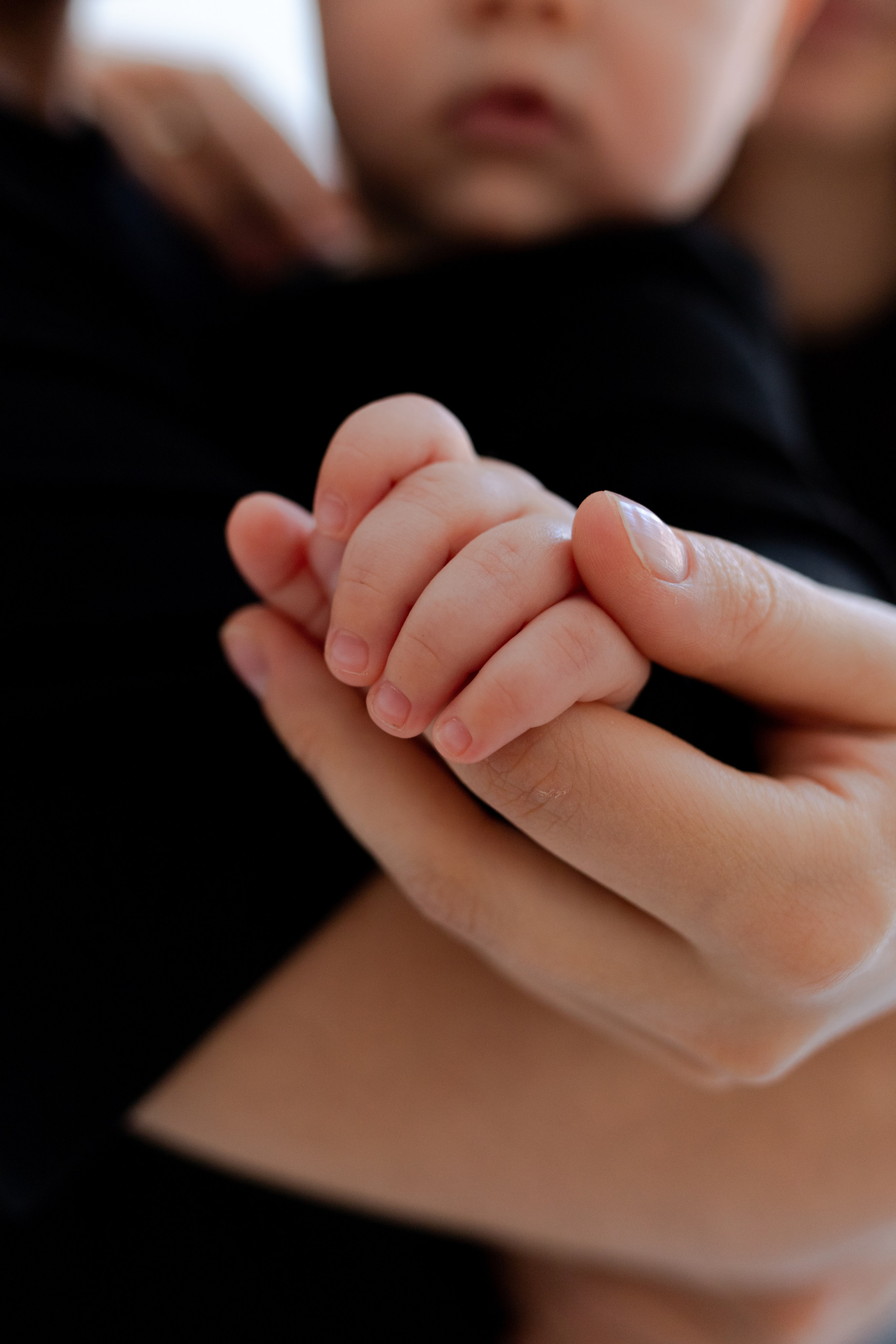 Елена, Денис и София. Свадебный и семейный фотограф СПБ