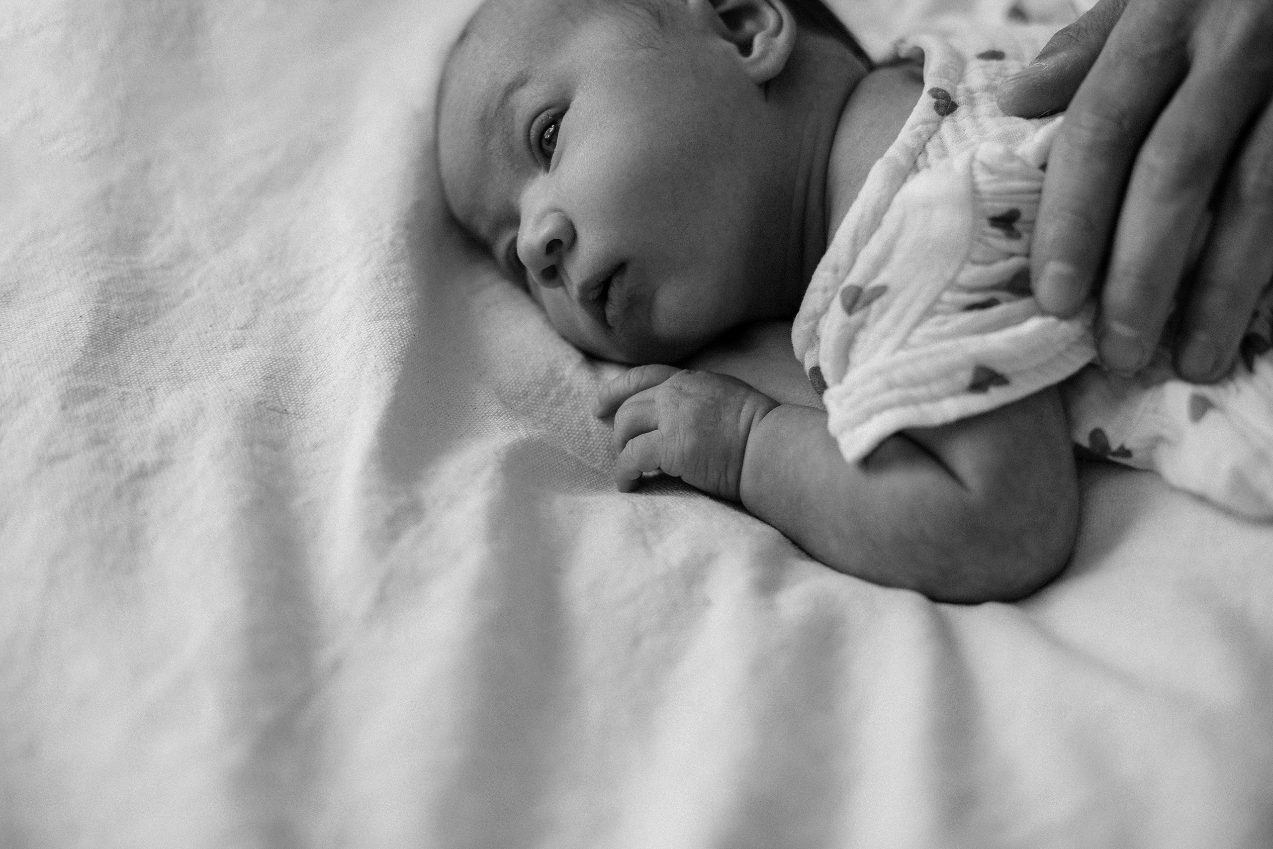 Вазген, Влада и Эмилия. Свадебный и семейный фотограф в Краснодаре/Геленджике/Сочи/Санкт-Петербурге