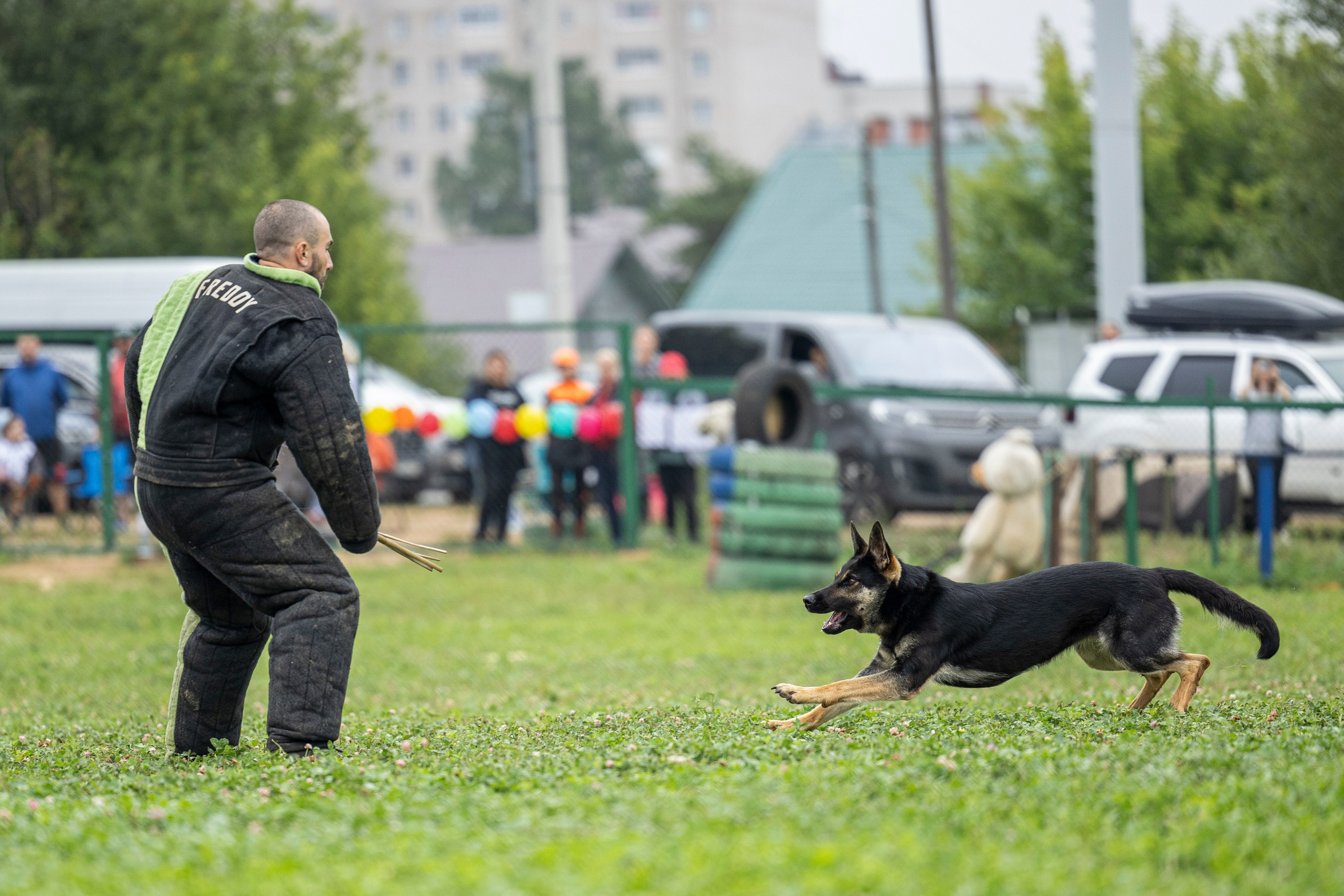 Соревнования по Мондьорингу г. Вологда 10-11.08.2024. Фотограф-анималист Анна Маринич