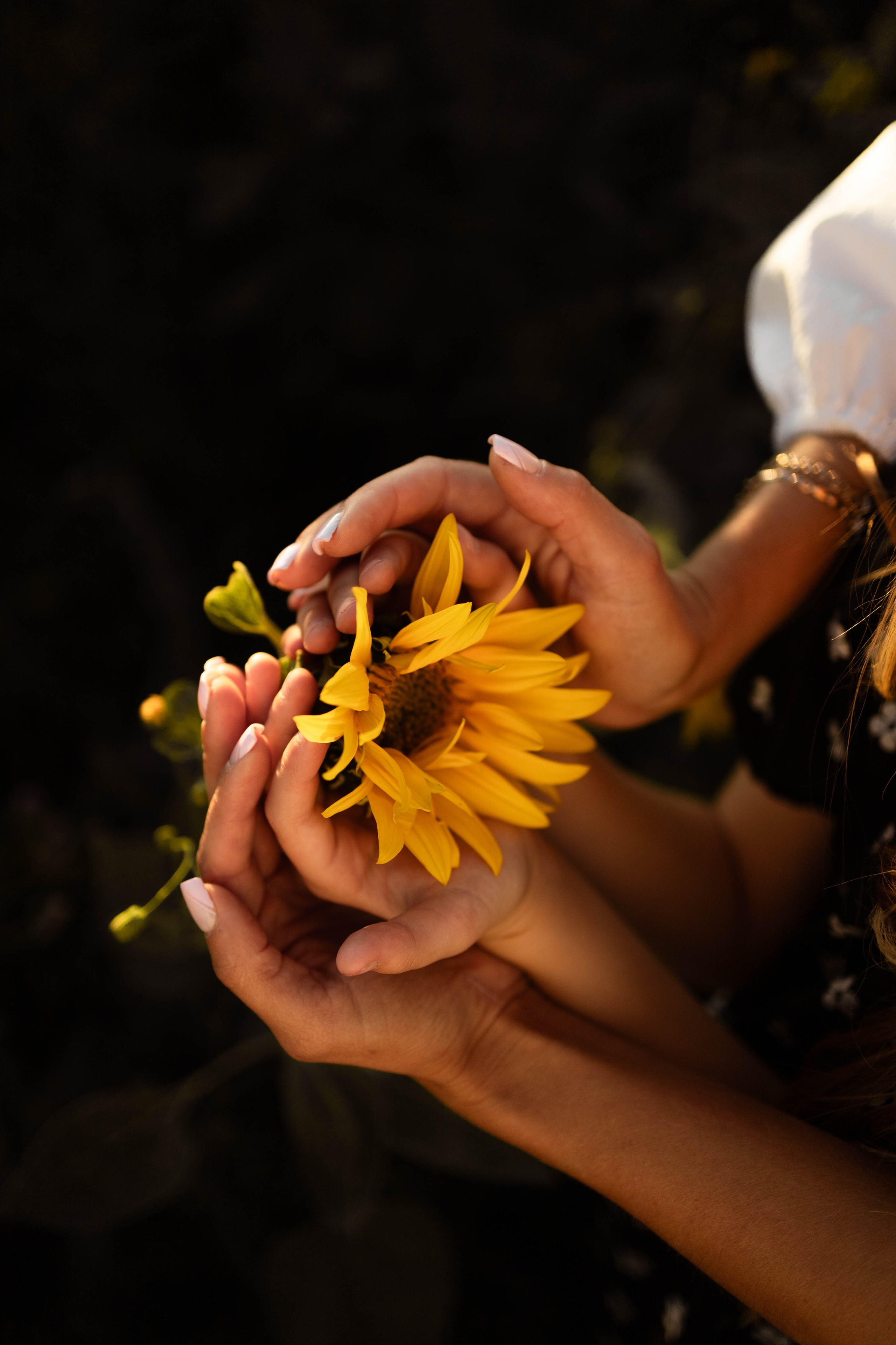 Альбом 7. Семейный фотограф Елена Шаяпова