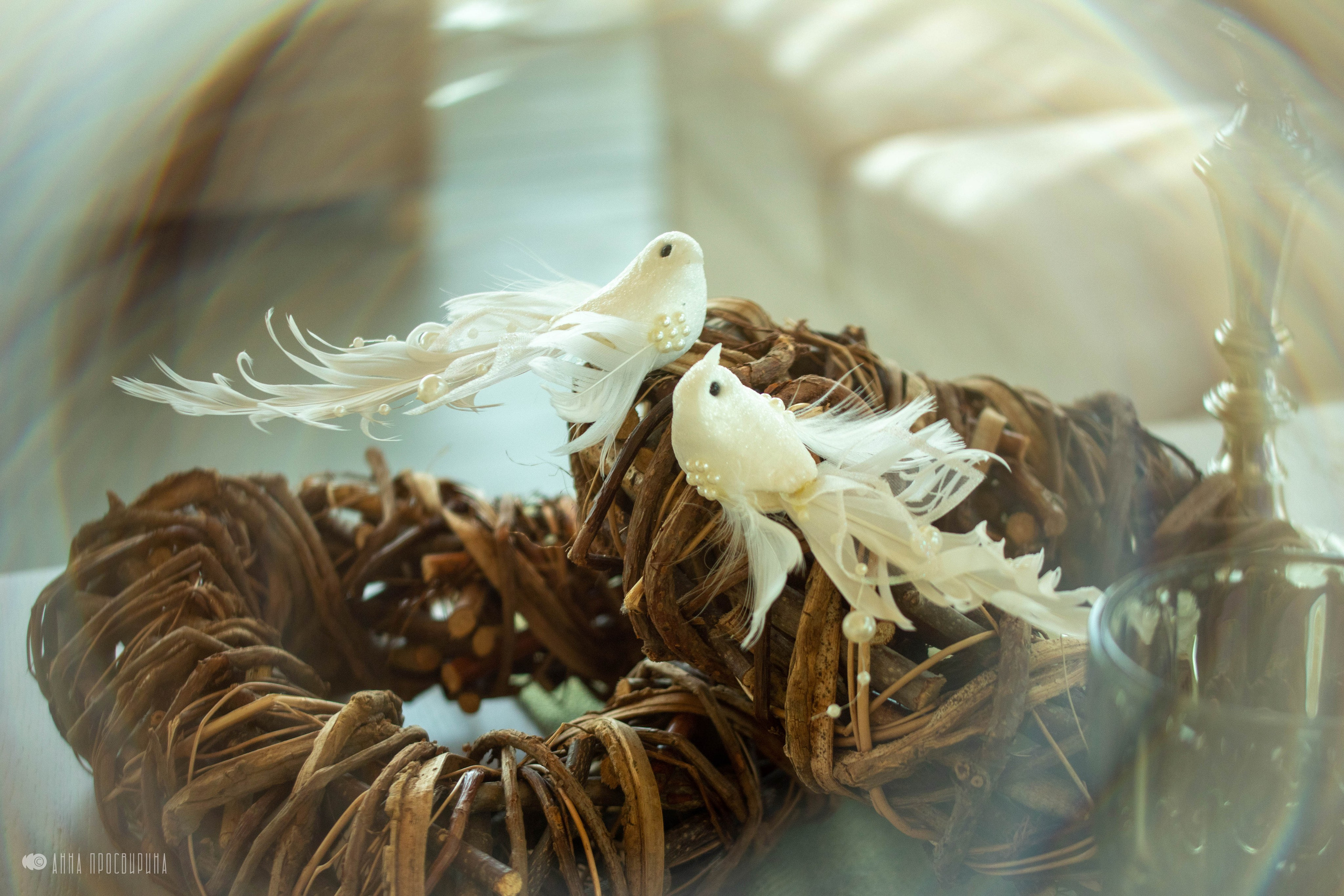 Свадебный банкет. Ваш фотограф в Санкт-Петербурге Анна Просвирина