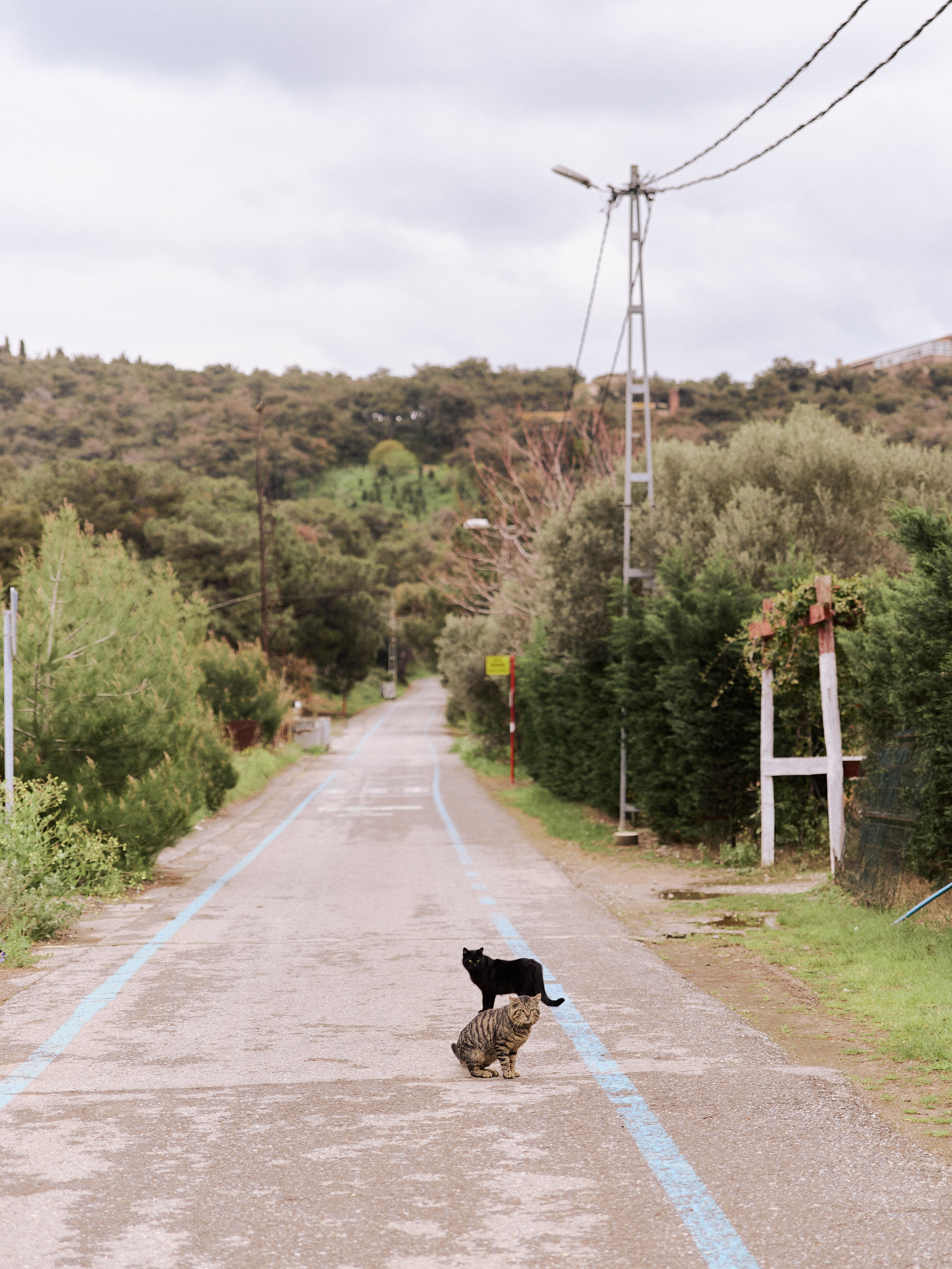 Улицы. Jorgis Talè — photographer, kind person, teacher of arts and other mag