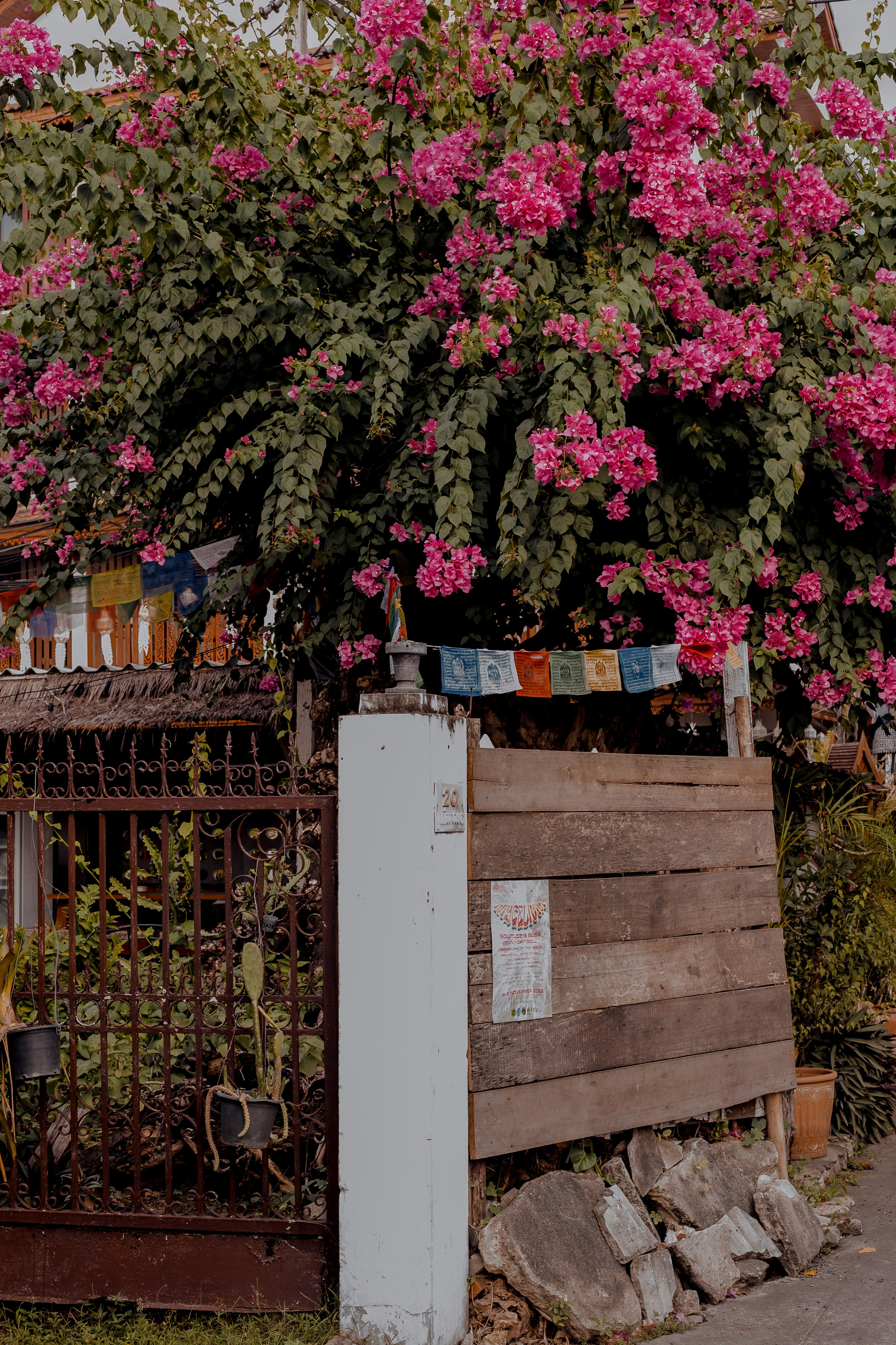 Thailand, Chiang Mai. Art Photographer