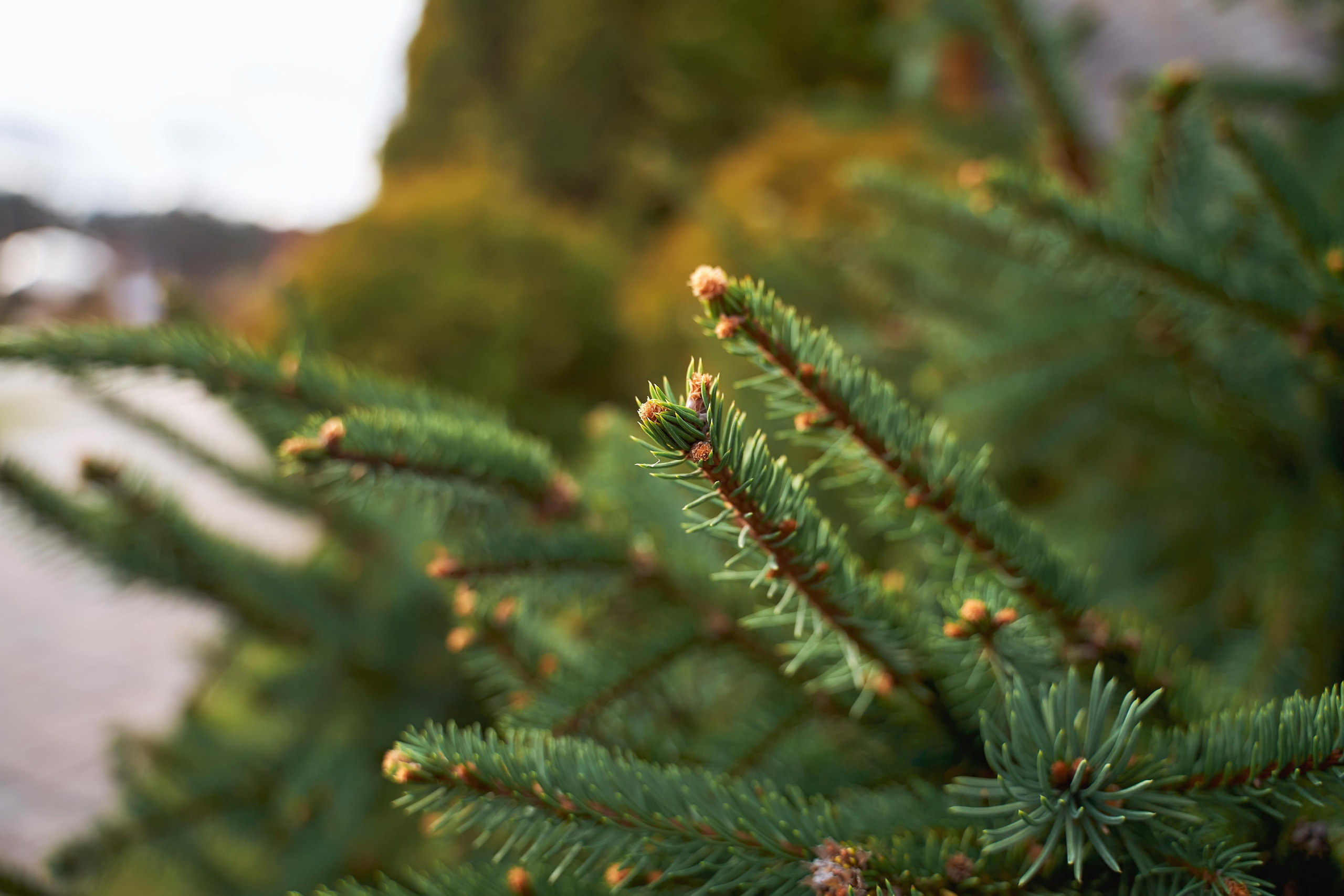 Звёздный свадебный приём в Москве. ТВИНС СТУДИО фото и видео. ТВИНС СТУДИО — лучшие свадебные фотографы и видеографы в Краснодаре