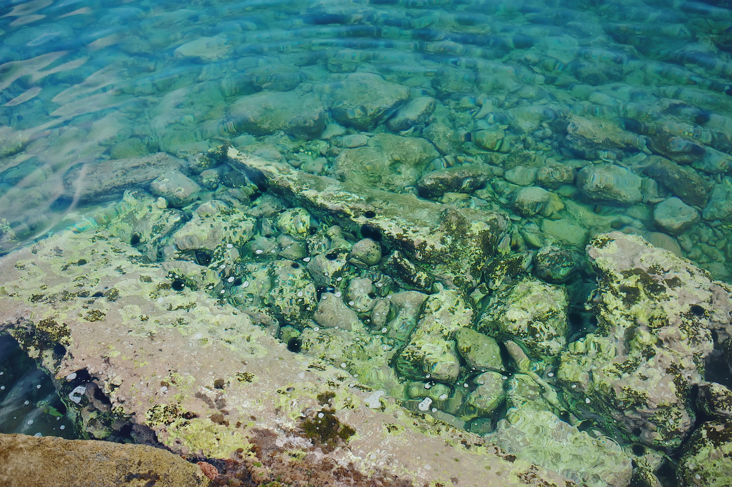 Свадьба в Греции на острове Крит от TWINS STUDIO. ТВИНС СТУДИО — лучшие свадебные фотографы и видеографы в Краснодаре