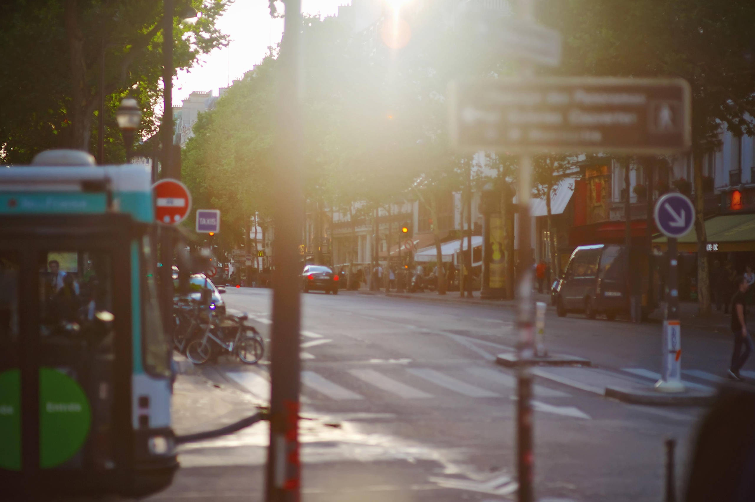 Paris. Twins Studio. Love. ТВИНС СТУДИО — лучшие свадебные фотографы и видеографы в Краснодаре