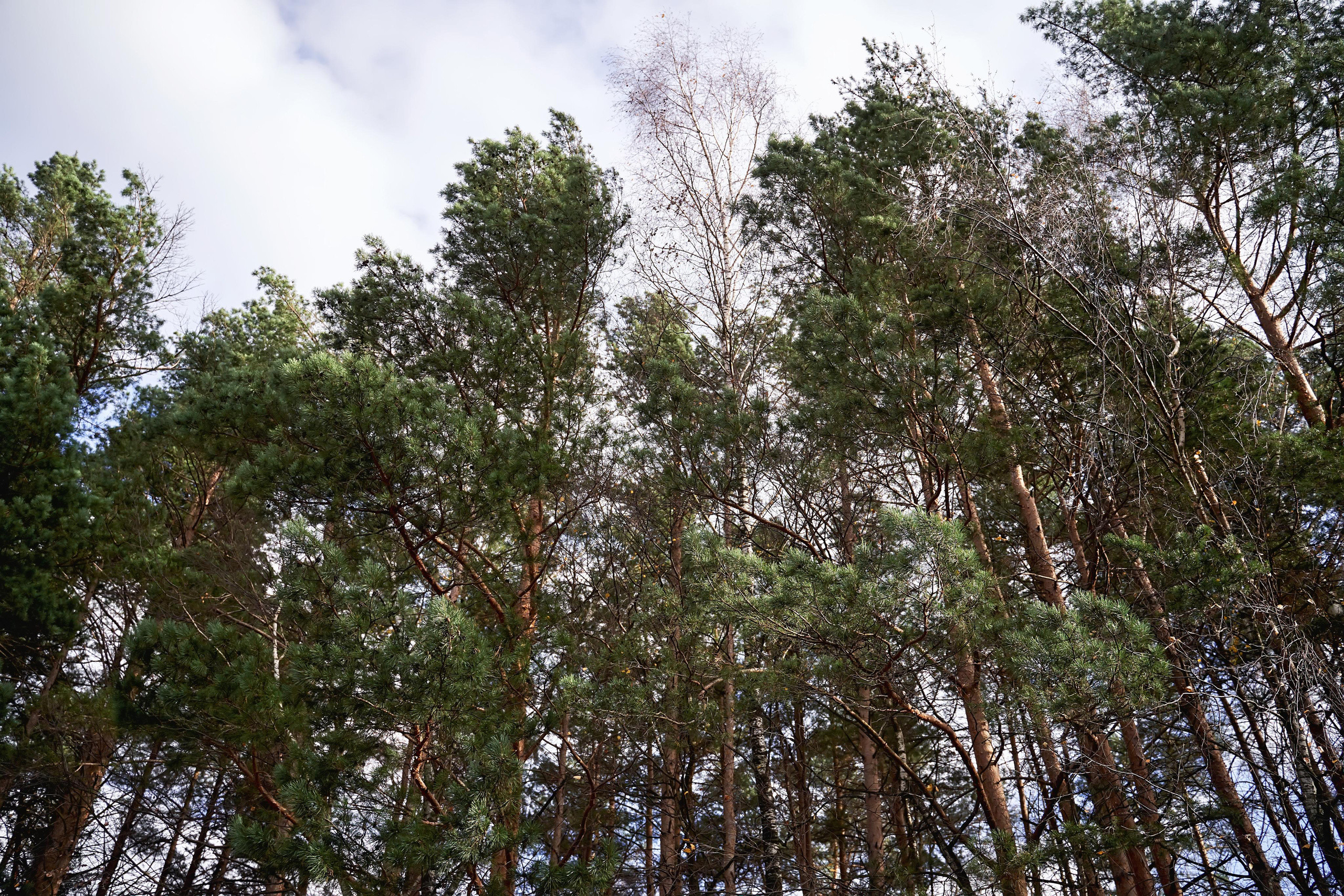 Звёздный свадебный приём в Москве. ТВИНС СТУДИО фото и видео. ТВИНС СТУДИО — лучшие свадебные фотографы и видеографы в Краснодаре