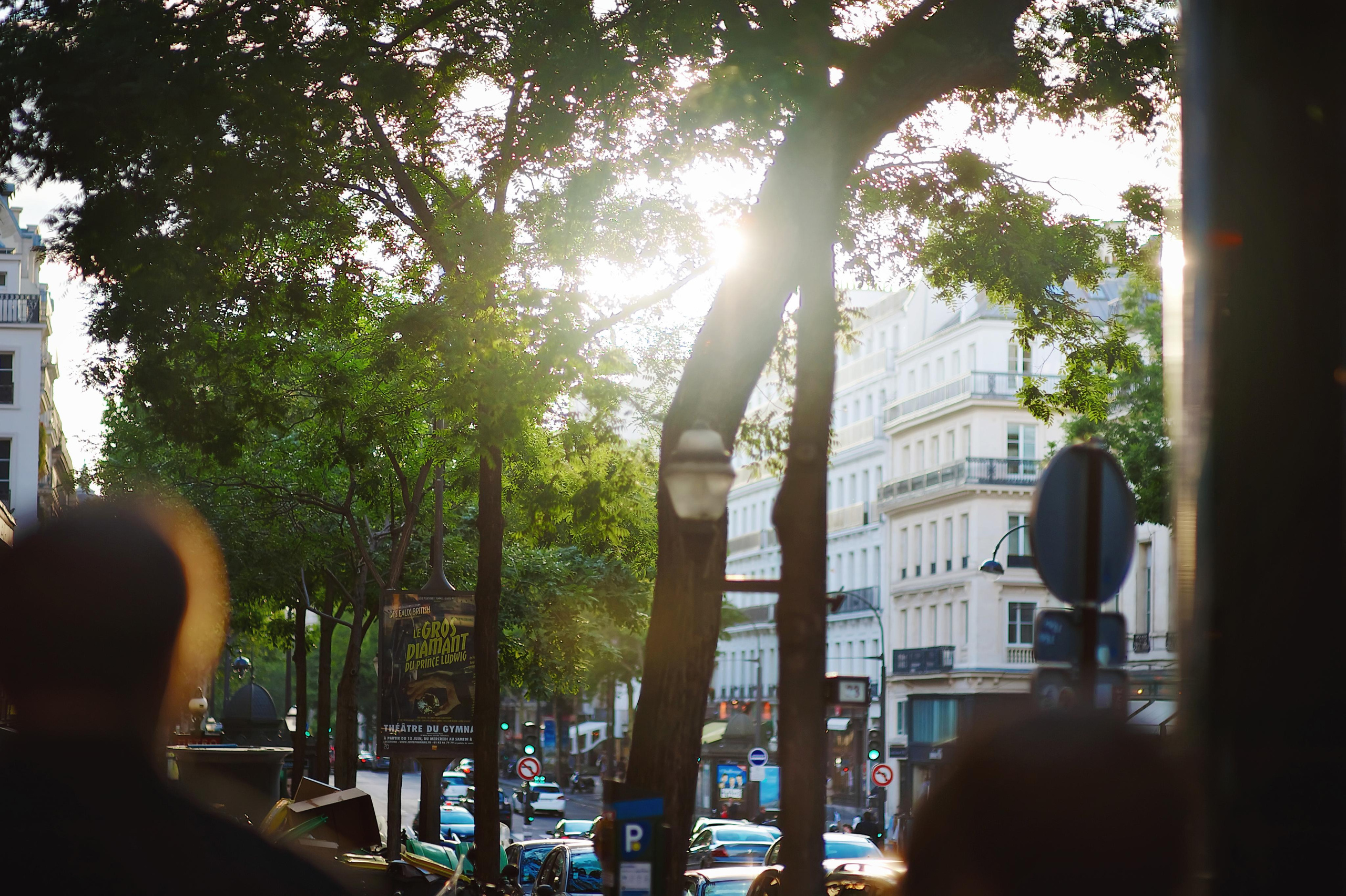 Paris. Twins Studio. Love. ТВИНС СТУДИО — лучшие свадебные фотографы и видеографы в Краснодаре