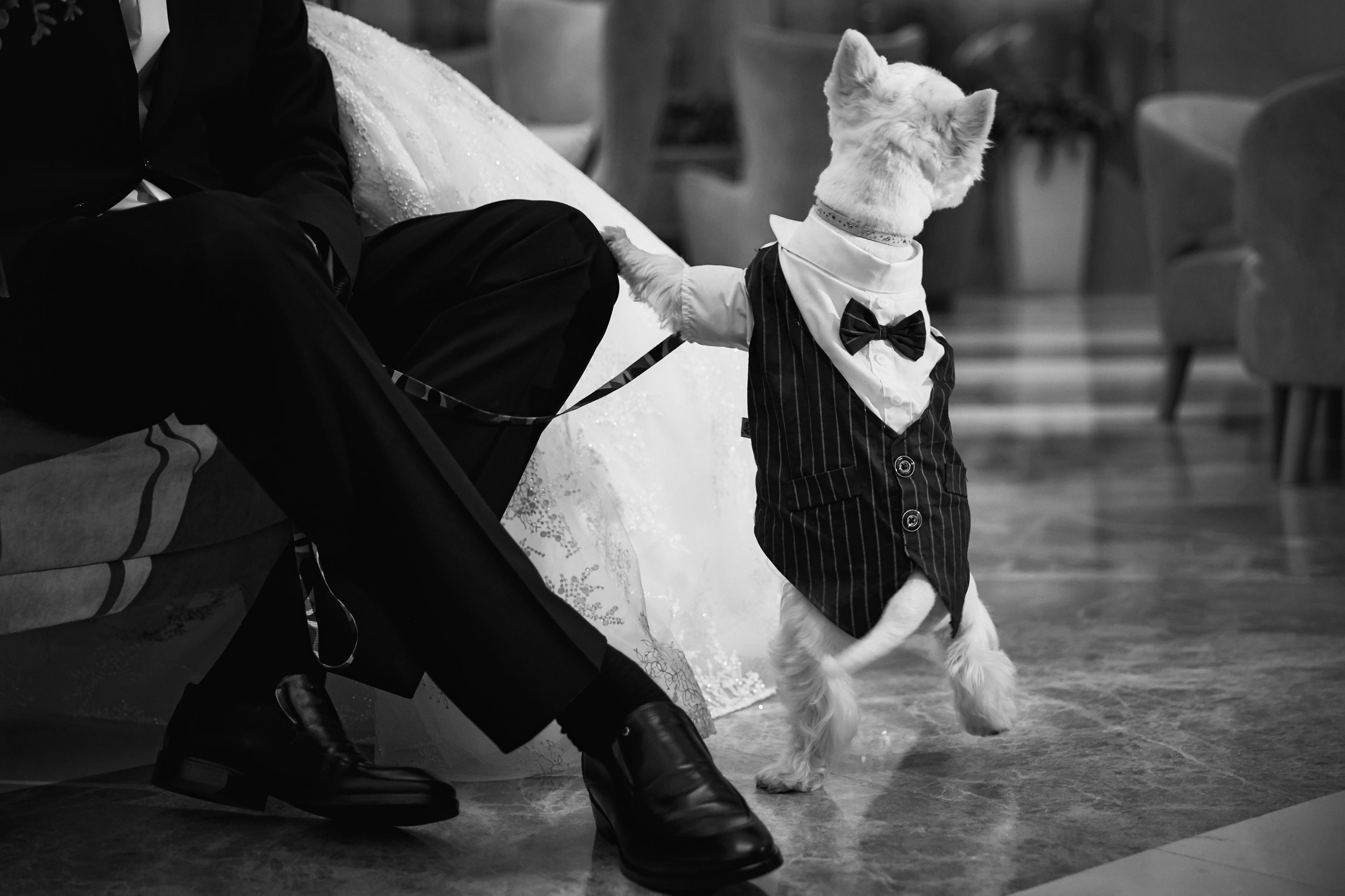 Кирилл & София. ТВИНС СТУДИО — лучшие свадебные фотографы и видеографы в Краснодаре