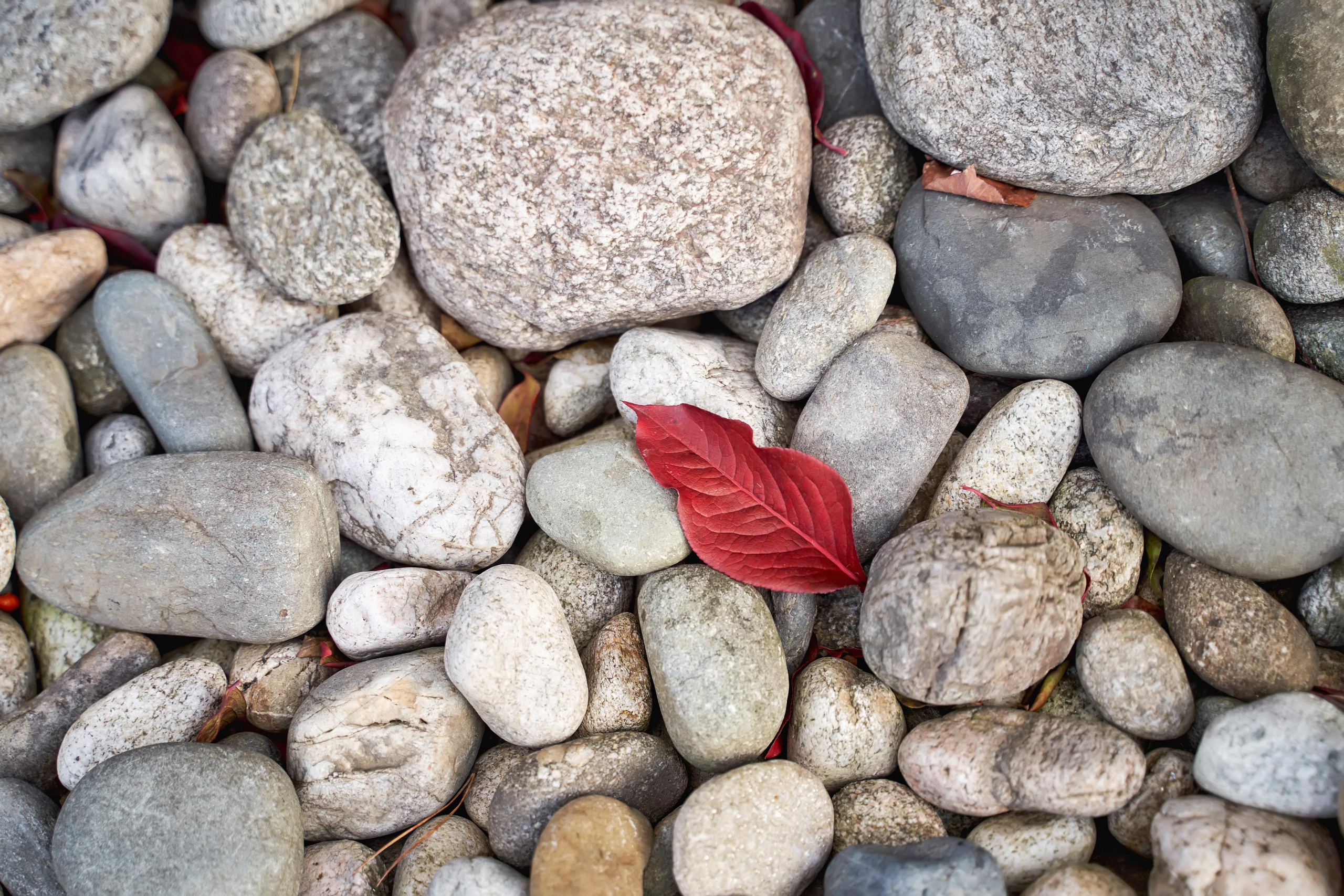 Звёздный свадебный приём в Москве. ТВИНС СТУДИО фото и видео. ТВИНС СТУДИО — лучшие свадебные фотографы и видеографы в Краснодаре