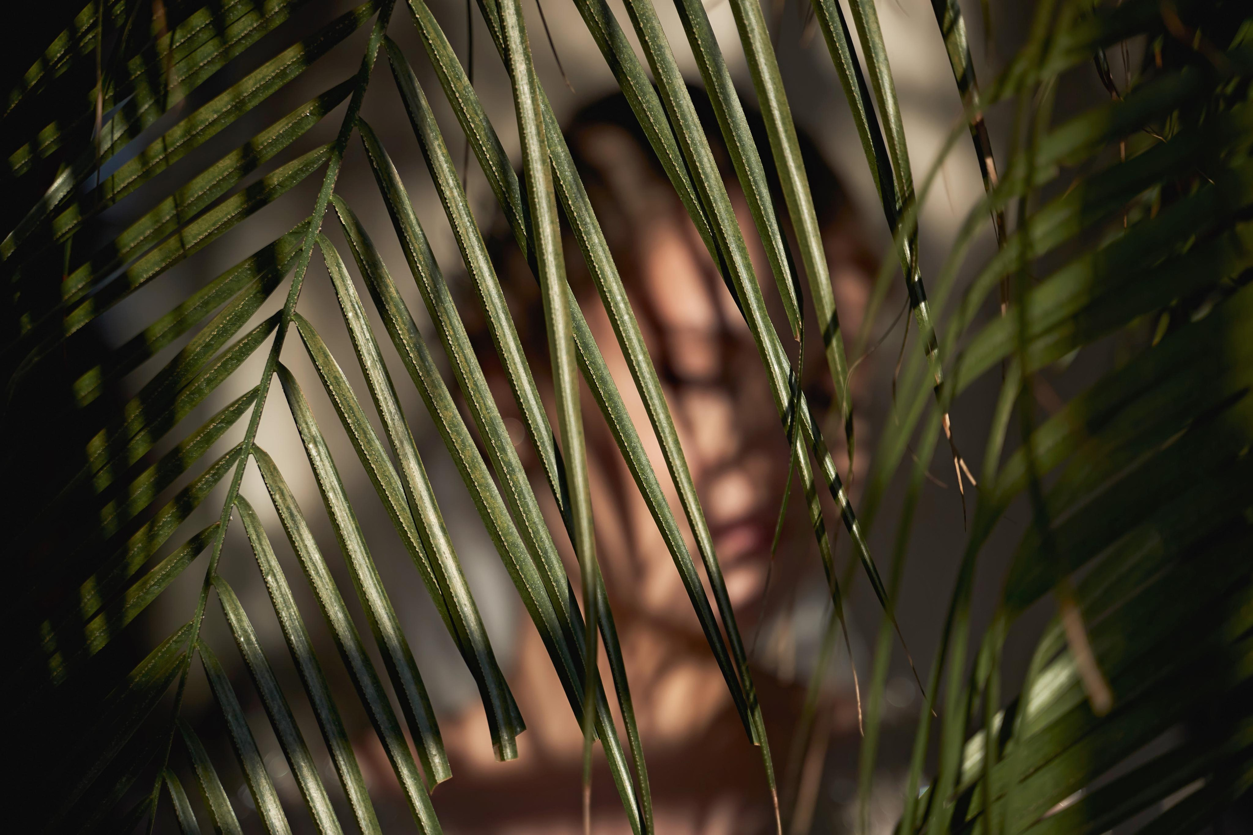 Кирилл & София. ТВИНС СТУДИО — лучшие свадебные фотографы и видеографы в Краснодаре