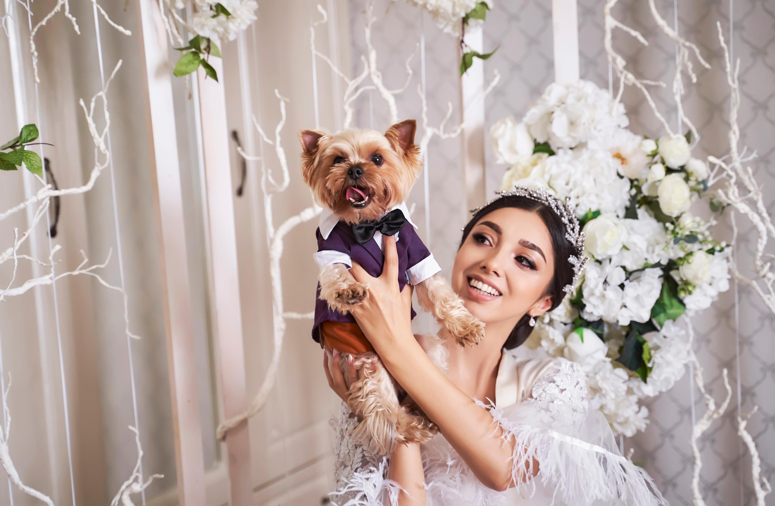 ПОРТФОЛИО TWINS STUDIO. ТВИНС СТУДИО — лучшие свадебные фотографы и видеографы в Краснодаре