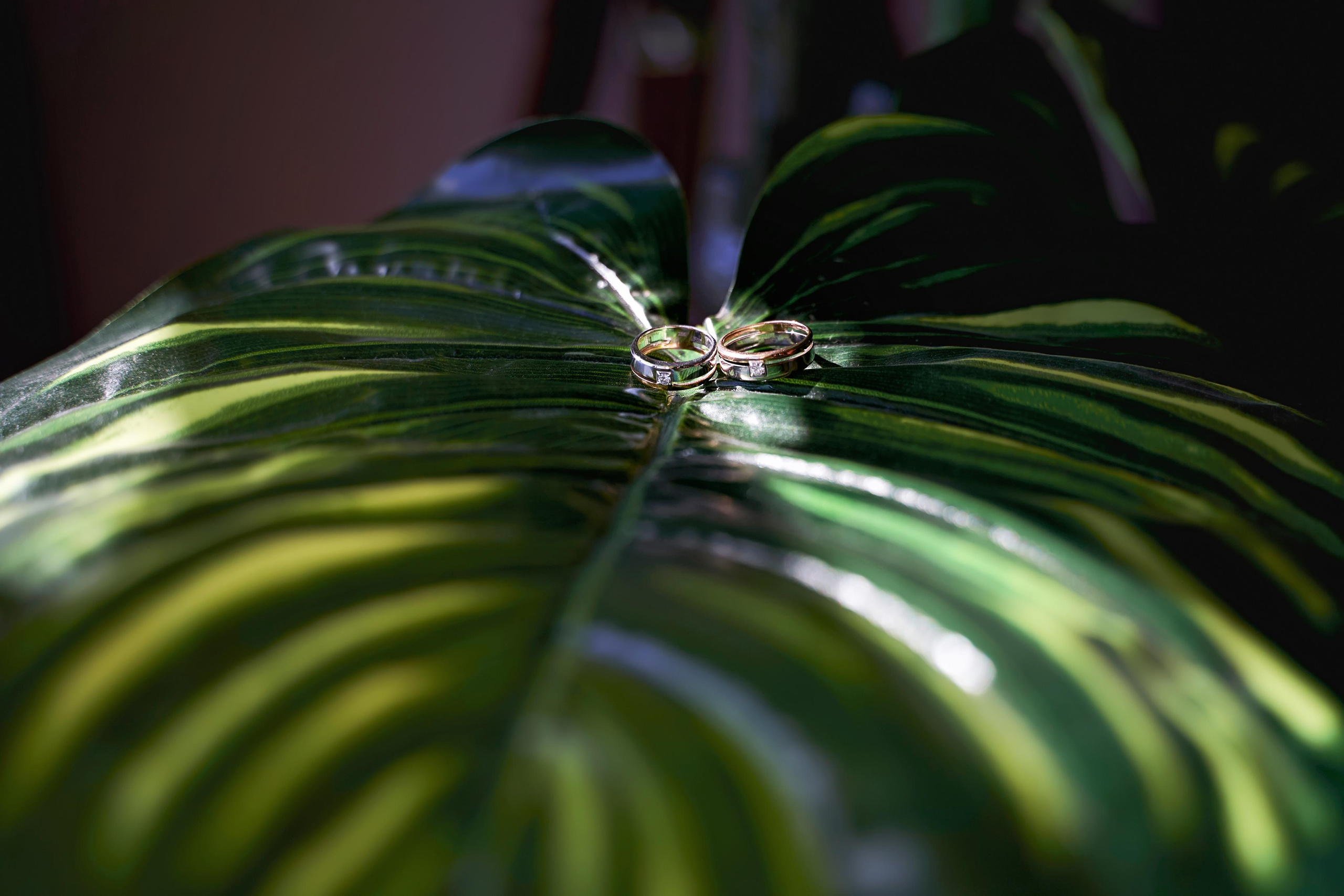 ПОРТФОЛИО TWINS STUDIO. ТВИНС СТУДИО — лучшие свадебные фотографы и видеографы в Краснодаре