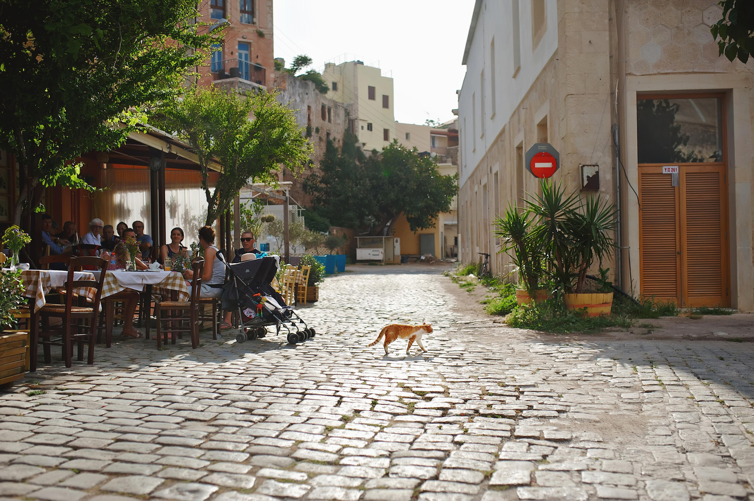 Свадьба в Греции на острове Крит от TWINS STUDIO. ТВИНС СТУДИО — лучшие свадебные фотографы и видеографы в Краснодаре