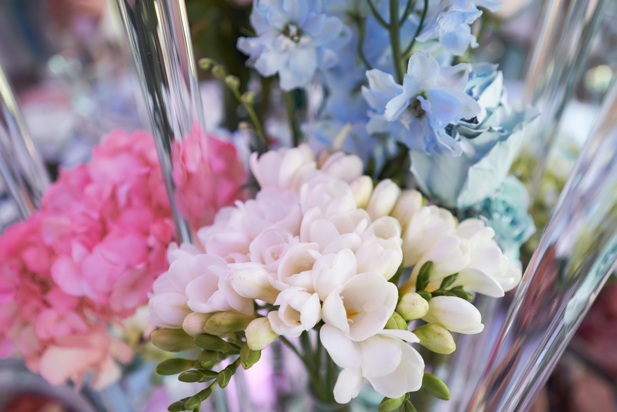 Кирилл & София. ТВИНС СТУДИО — лучшие свадебные фотографы и видеографы в Краснодаре