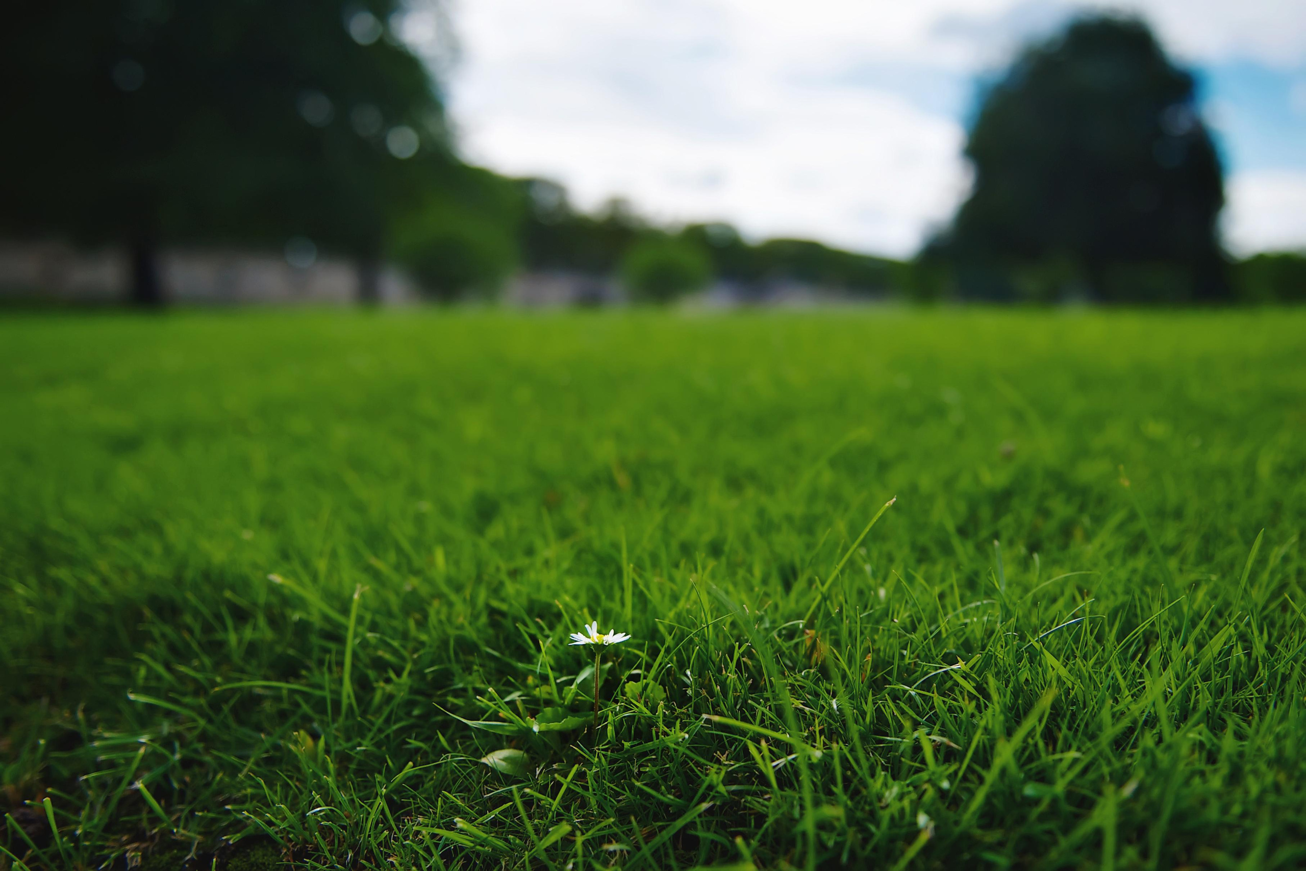 Paris. Twins Studio. Love. ТВИНС СТУДИО — лучшие свадебные фотографы и видеографы в Краснодаре