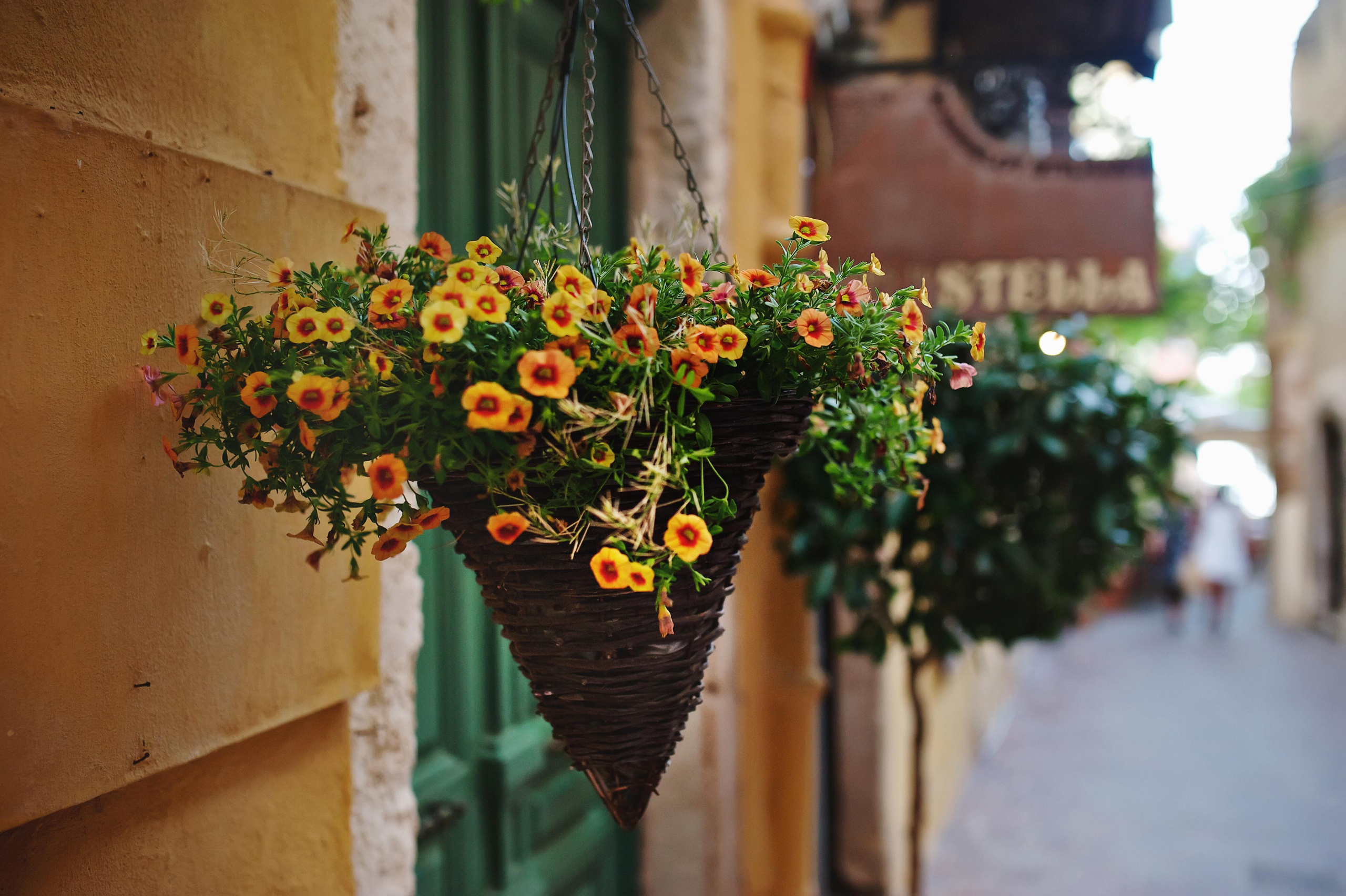 Свадьба в Греции на острове Крит от TWINS STUDIO. ТВИНС СТУДИО — лучшие свадебные фотографы и видеографы в Краснодаре