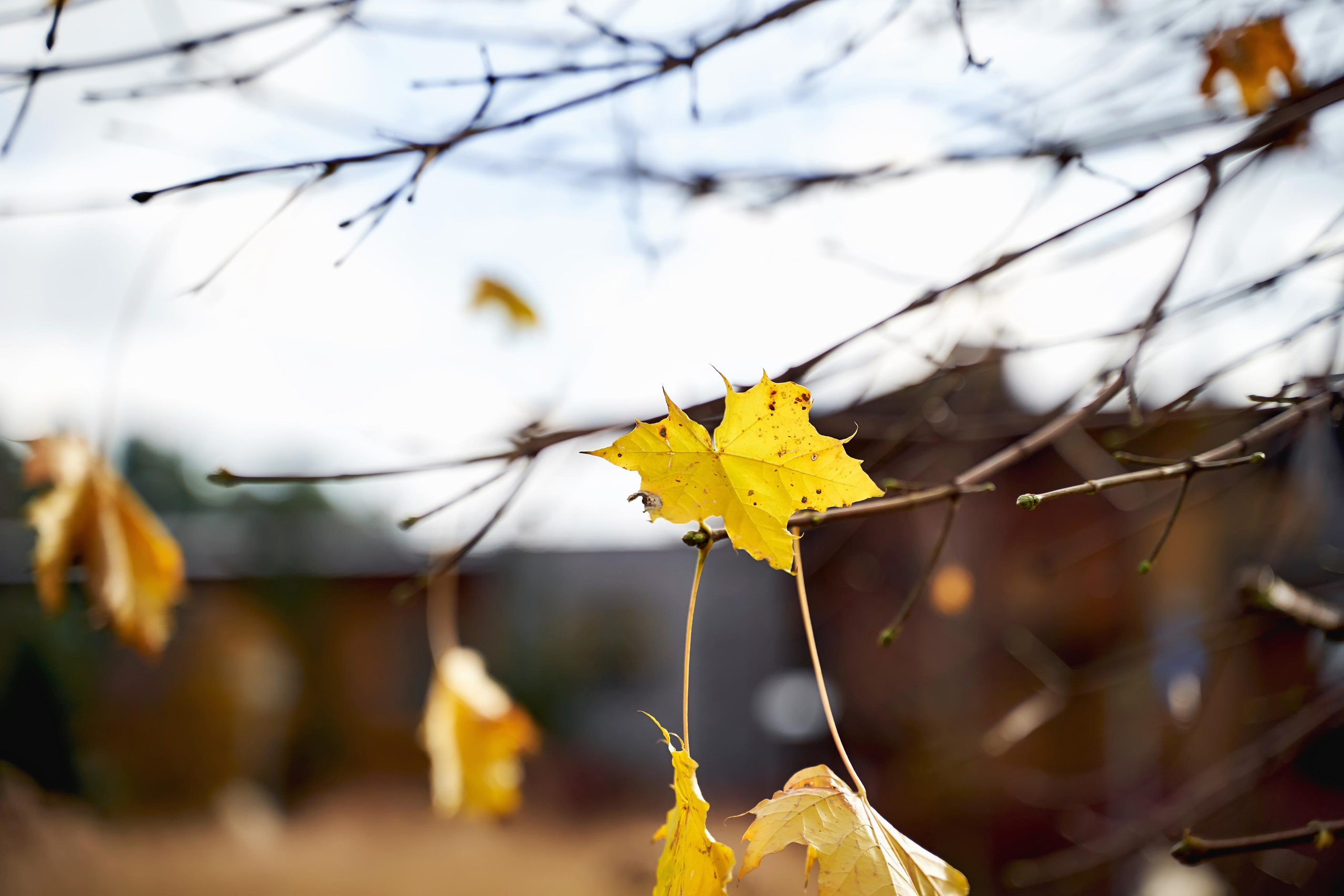Звёздный свадебный приём в Москве. ТВИНС СТУДИО фото и видео. ТВИНС СТУДИО — лучшие свадебные фотографы и видеографы в Краснодаре