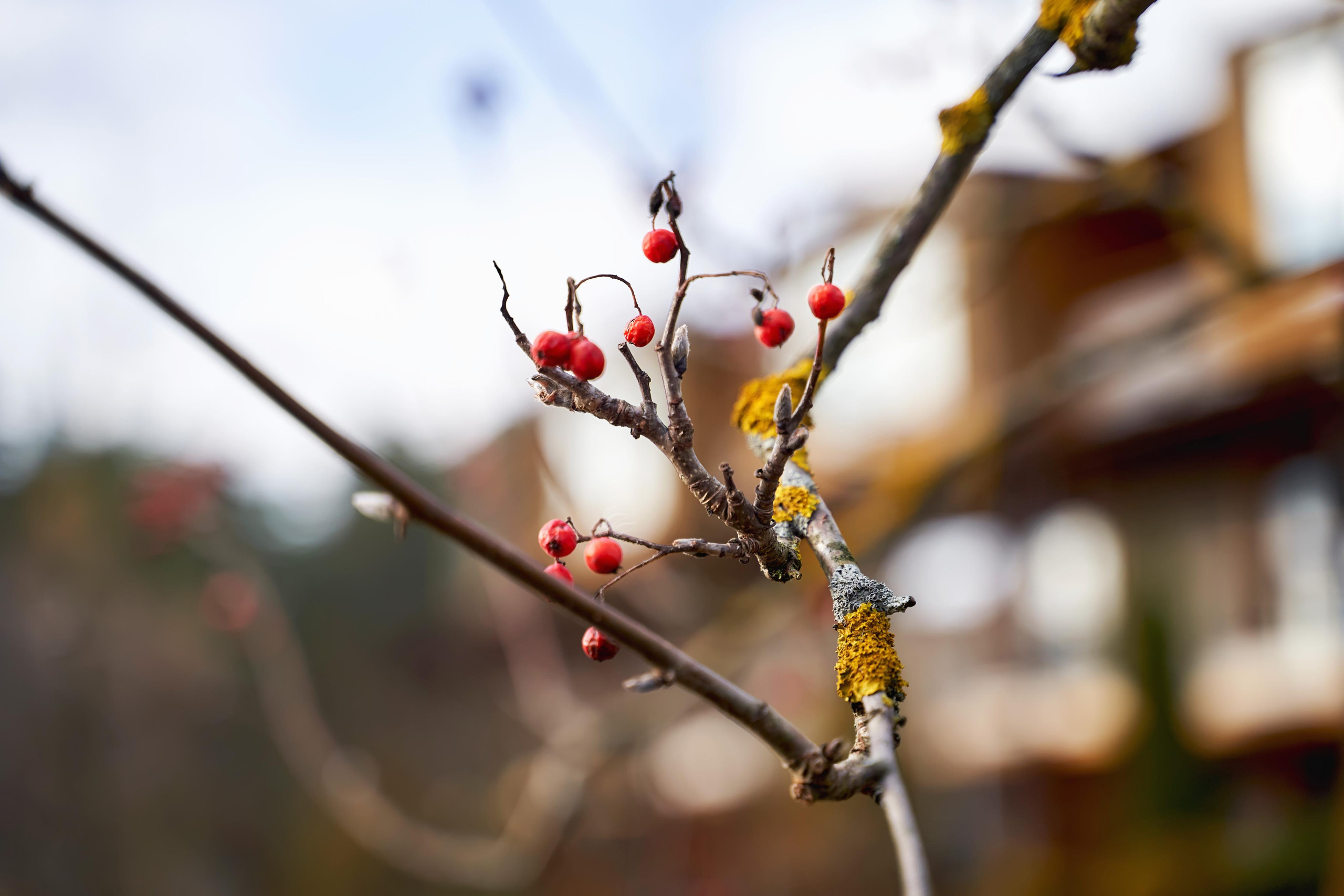 Звёздный свадебный приём в Москве. ТВИНС СТУДИО фото и видео. ТВИНС СТУДИО — лучшие свадебные фотографы и видеографы в Краснодаре