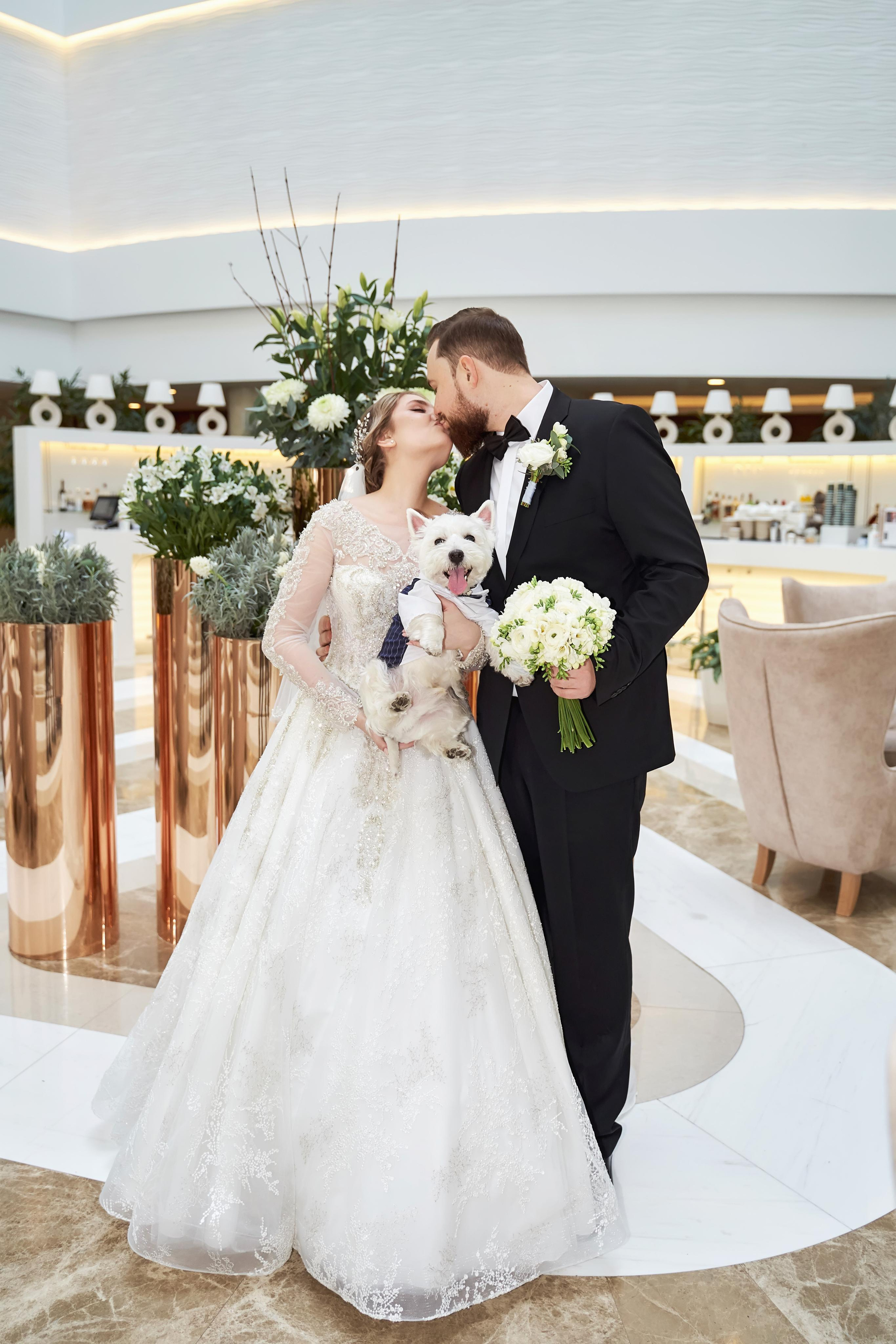 Кирилл & София. ТВИНС СТУДИО — лучшие свадебные фотографы и видеографы в Краснодаре