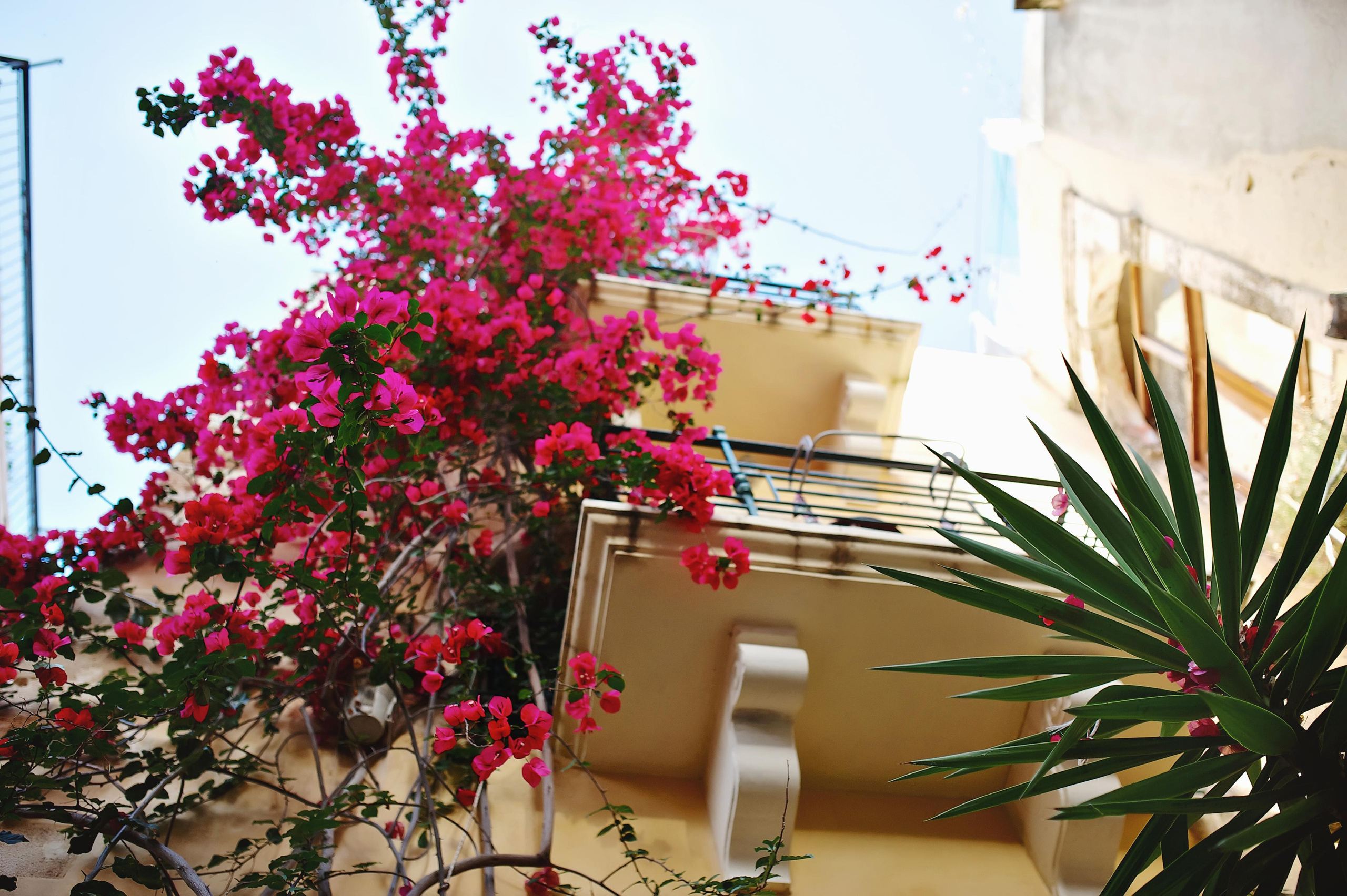 Свадьба в Греции на острове Крит от TWINS STUDIO. ТВИНС СТУДИО — лучшие свадебные фотографы и видеографы в Краснодаре