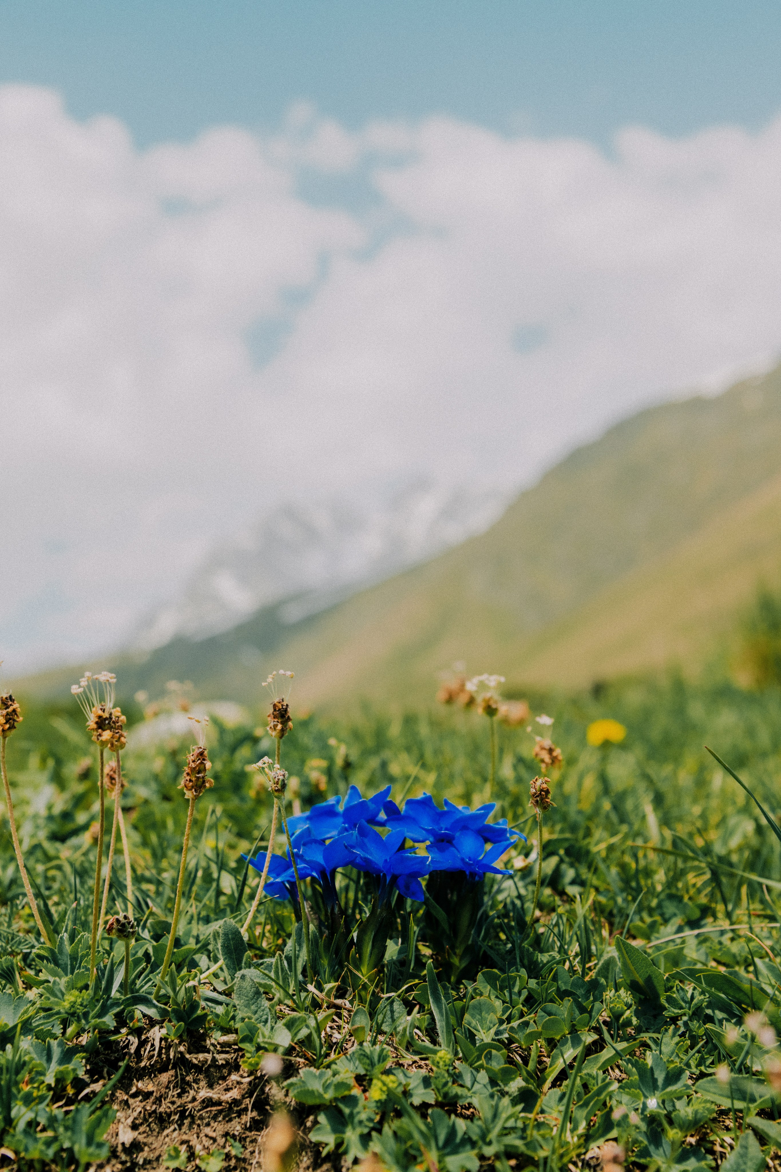 Дигория. Фотограф Санкт-Петербург Макарова Дарья
