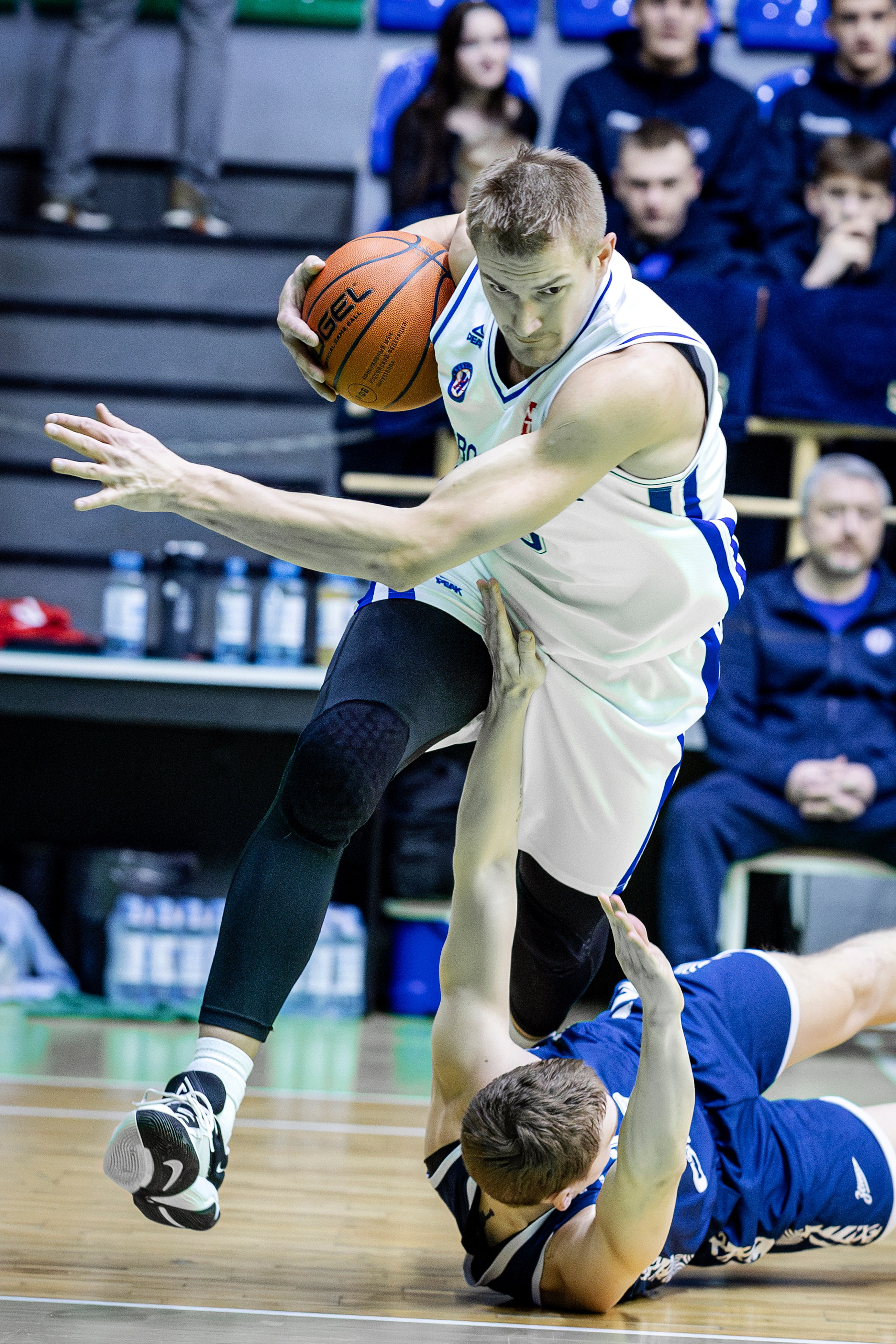 БК Новосибирск. Bertran Ordo