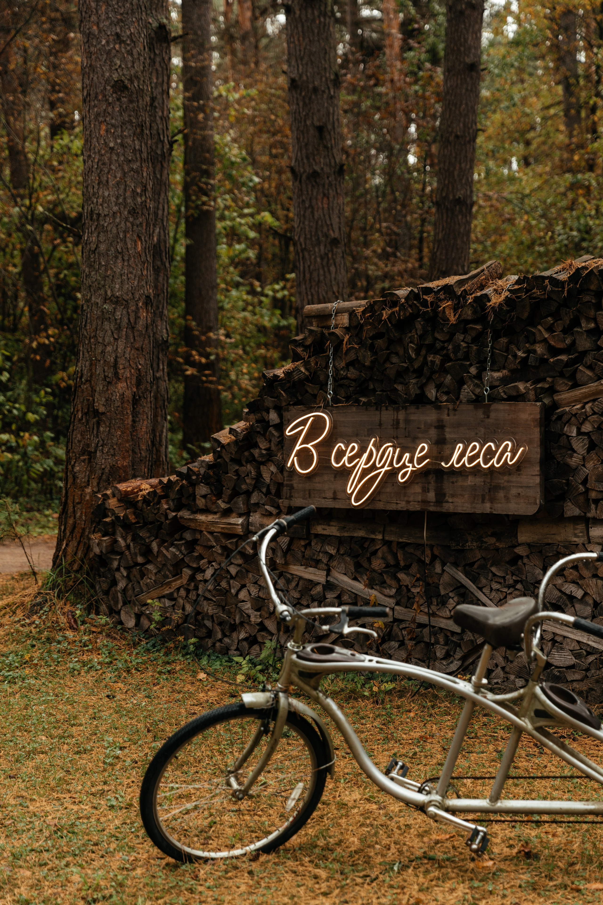 Даня и Саша | Pine River. Свадебный фотограф Ангелина Зотова | Обнинск, Москва, Калуга