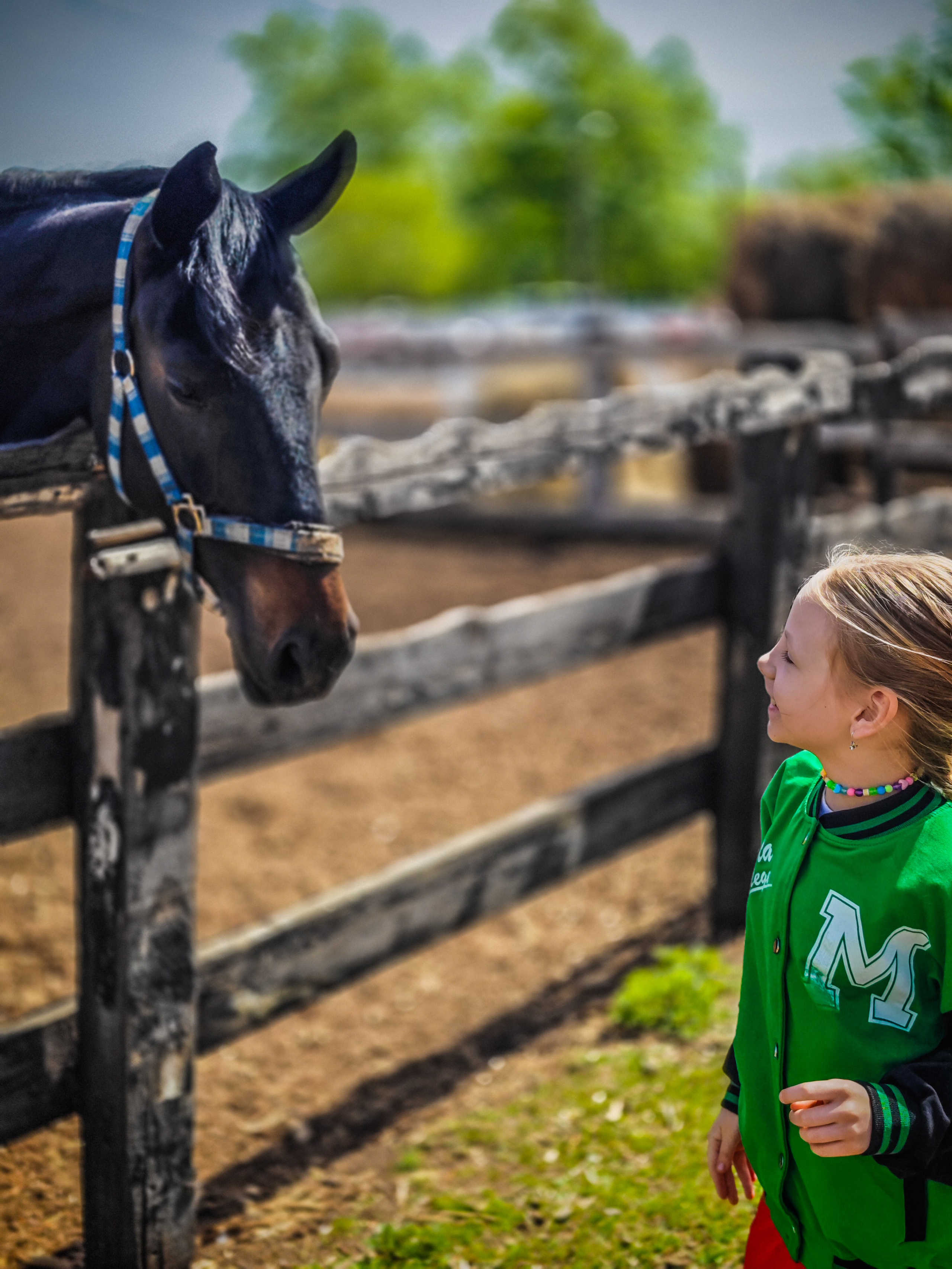 Красноярский ипподром. Открытие сезона 2025. Игорь Урывский. Фотограф Красноярск