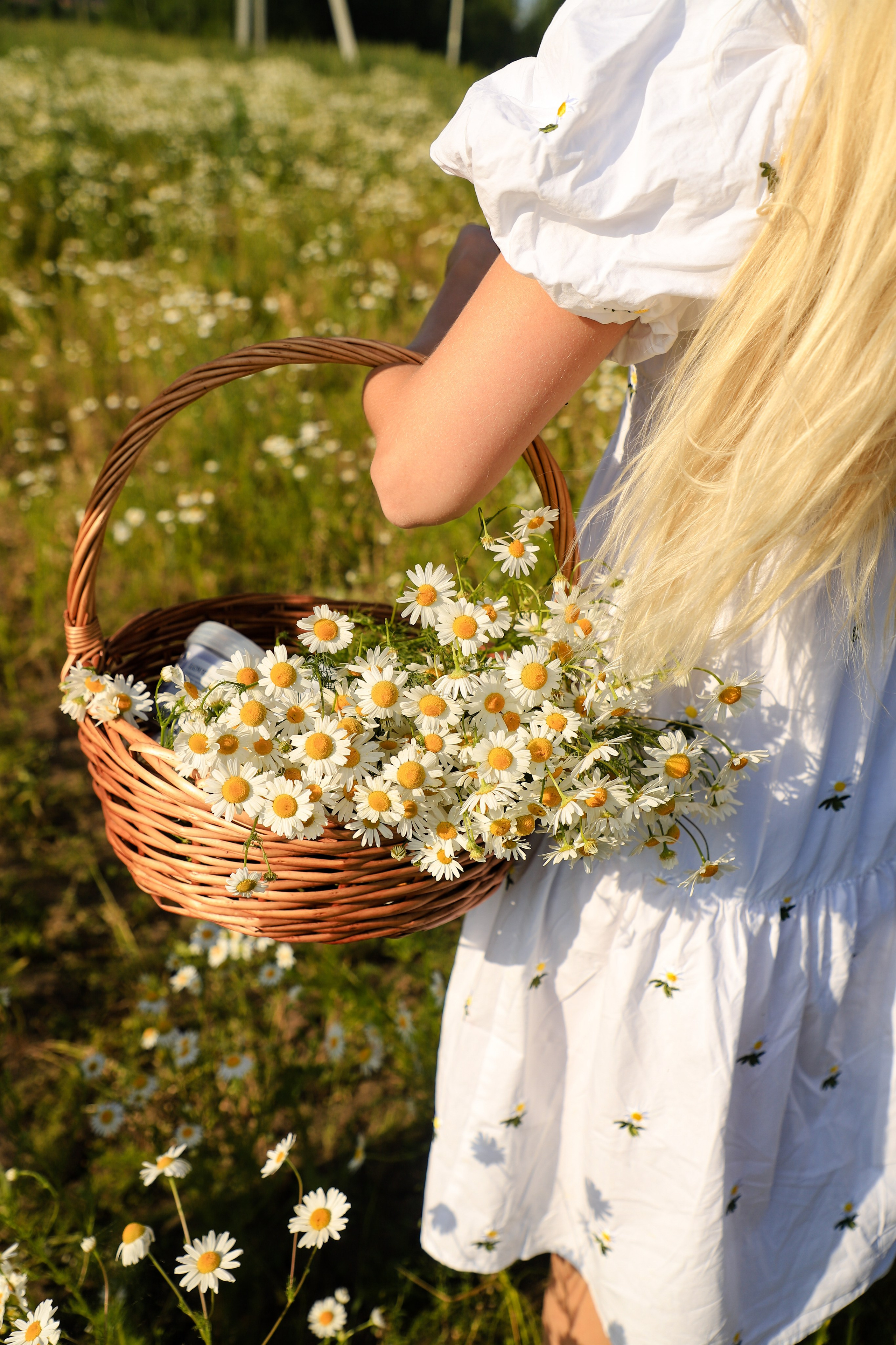 Ромашки Валентина 11.07. Главная