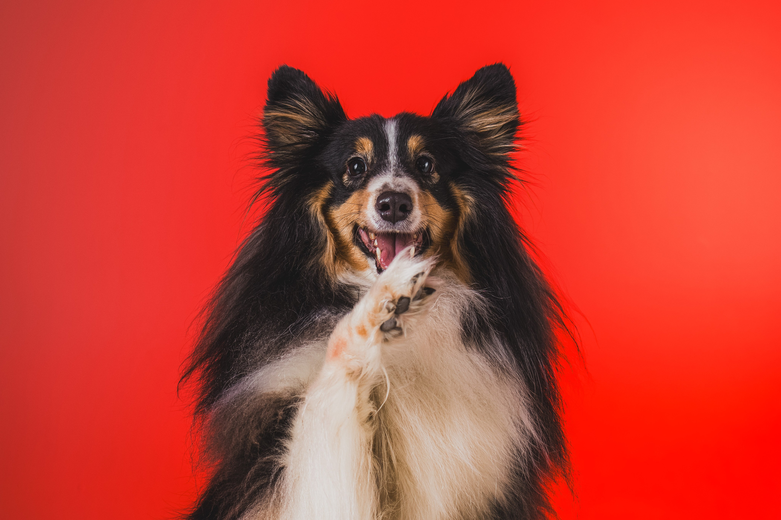 Воркшоп по импульсному свету