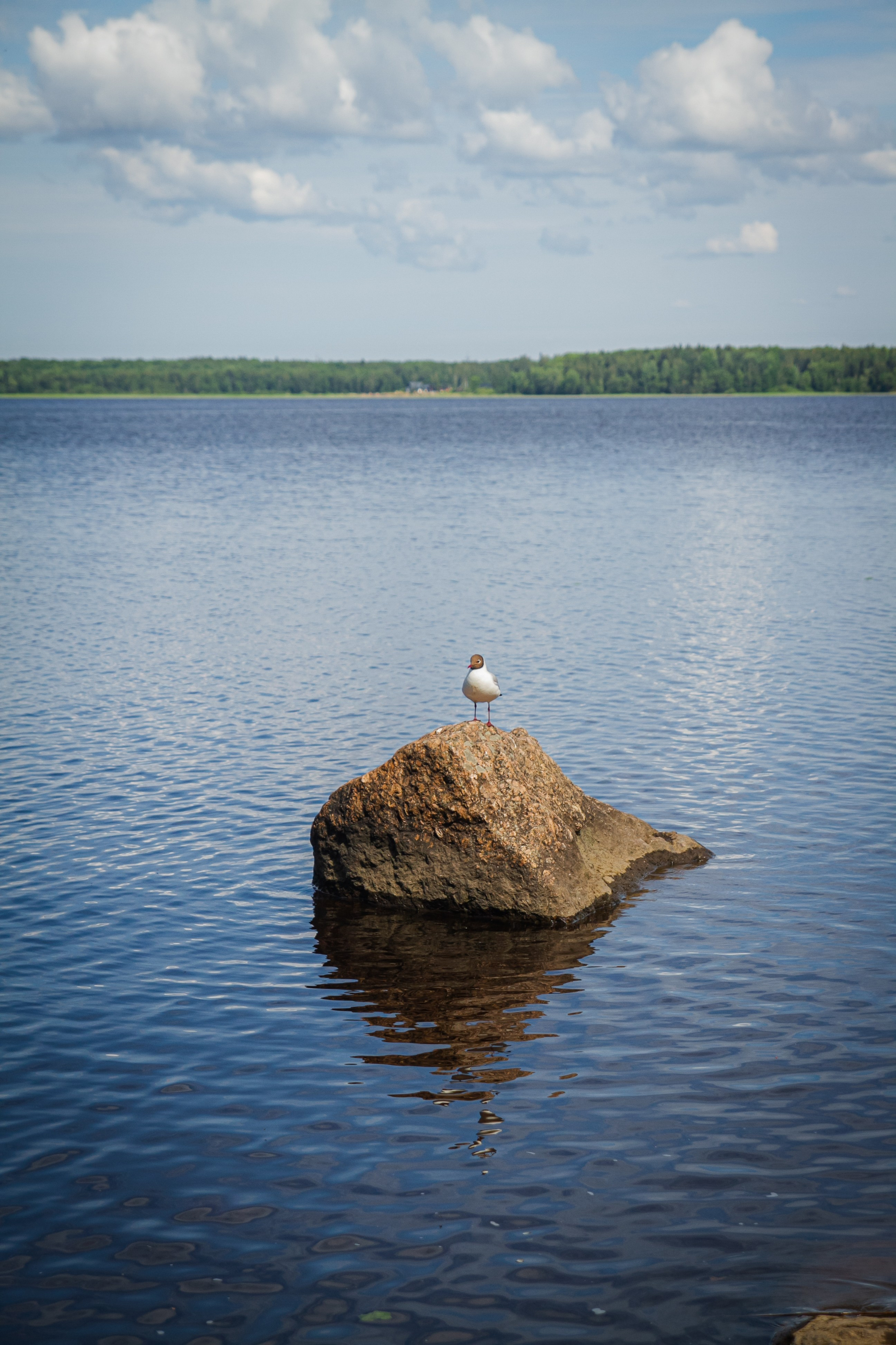 Путешествия. Фотограф Юлия Федосова