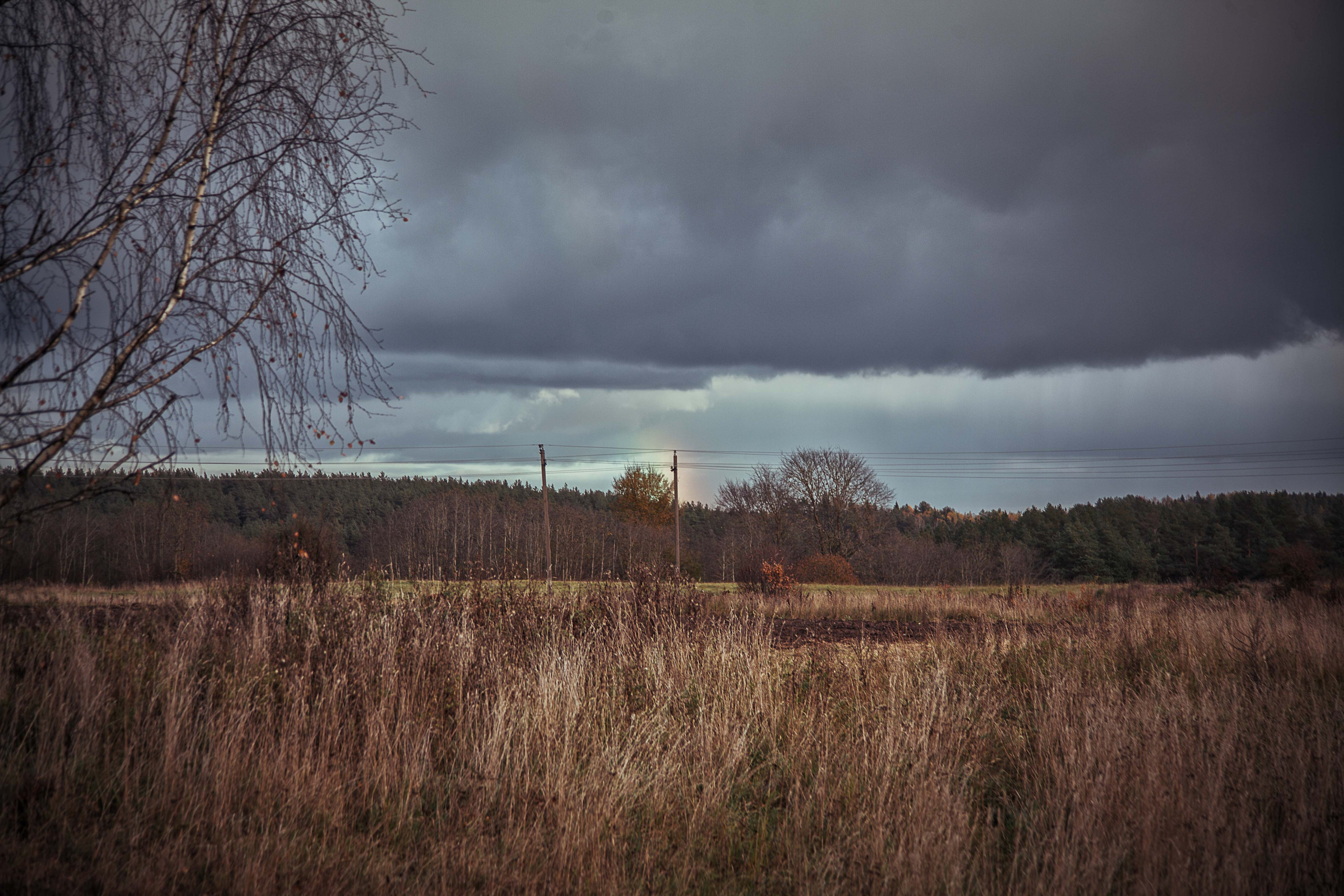 Печеры. Семейный и детский фотограф в Москве Ольга Кривенцова