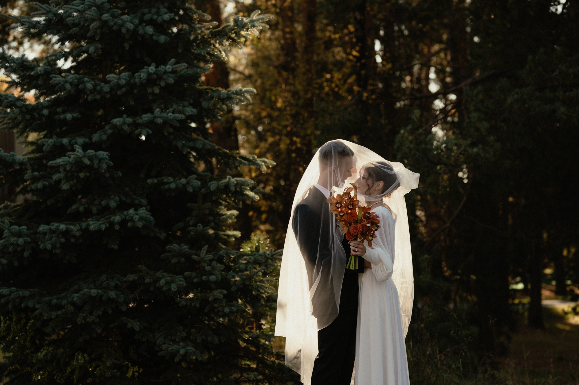 Андрей и Вероника. Свадебный фотограф Абрамова Ксения