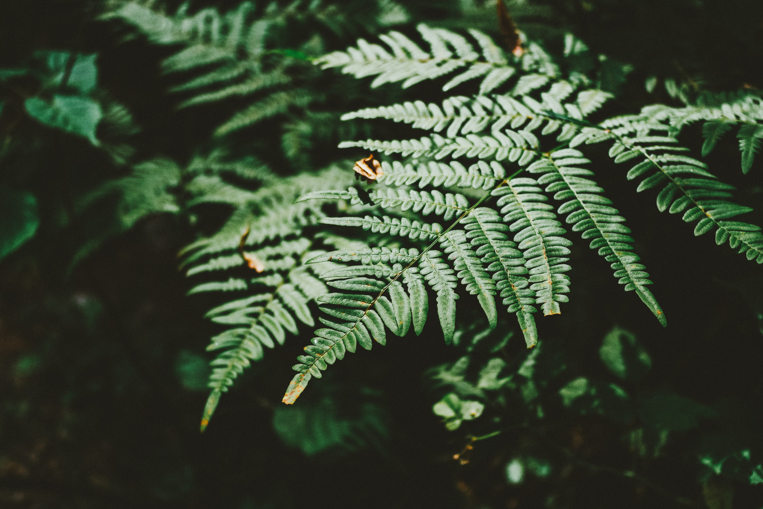 Портретный и репортажный фотограф г. Тюмень Ник Стенсил