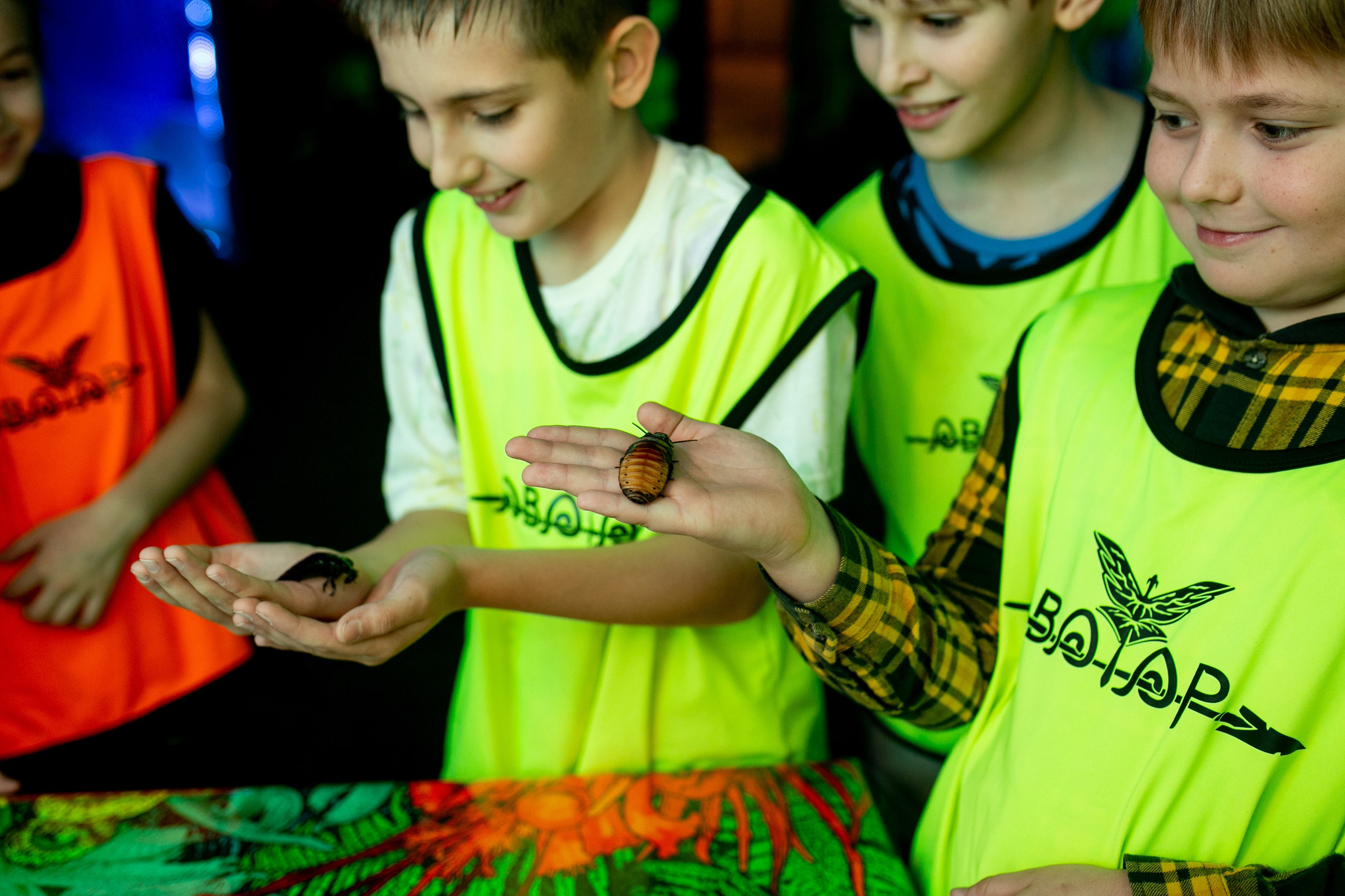 Аватар. Фотограф в Новосибирске Ася Зверева