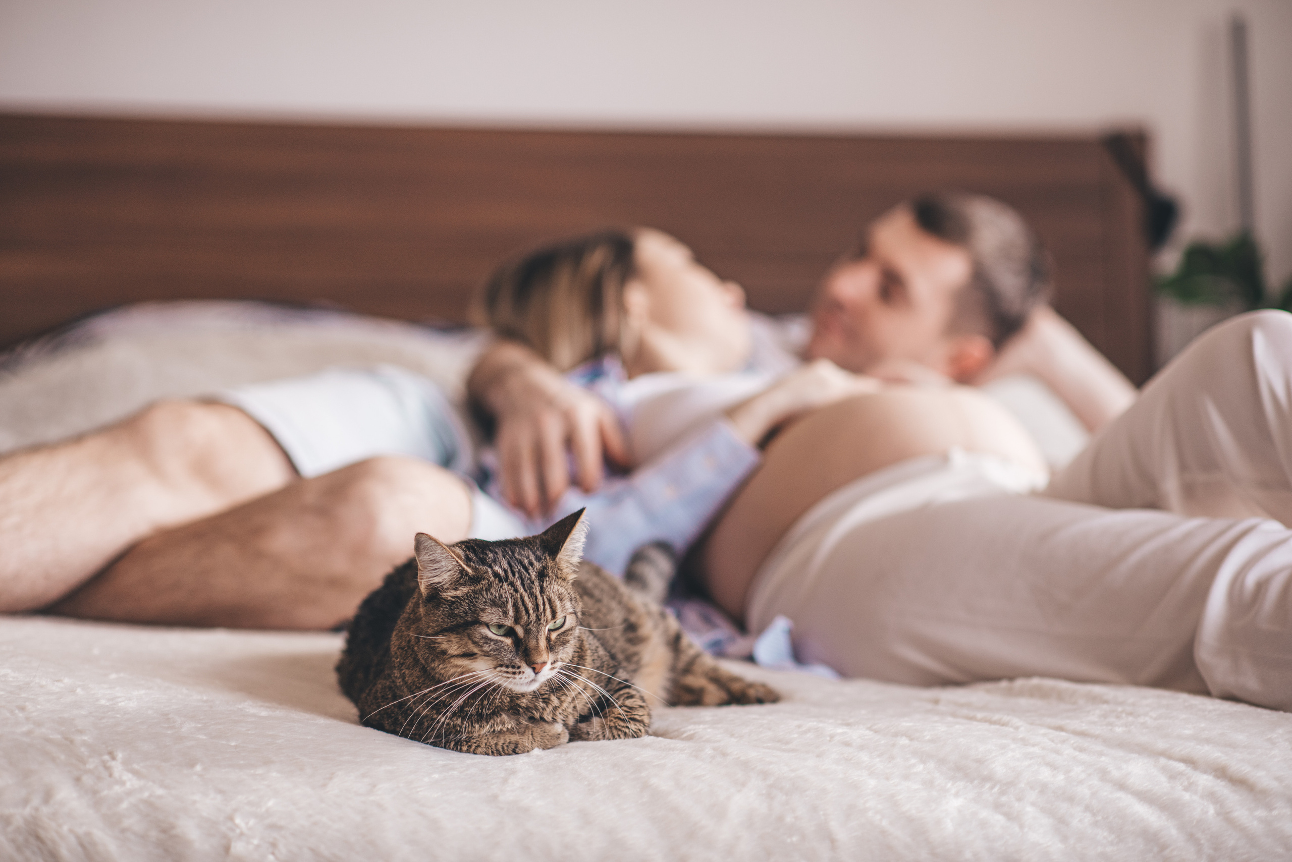 Про кота. Домашний Life Stule. Семейный и детский фотограф в Новосибирске Доронина Ольга