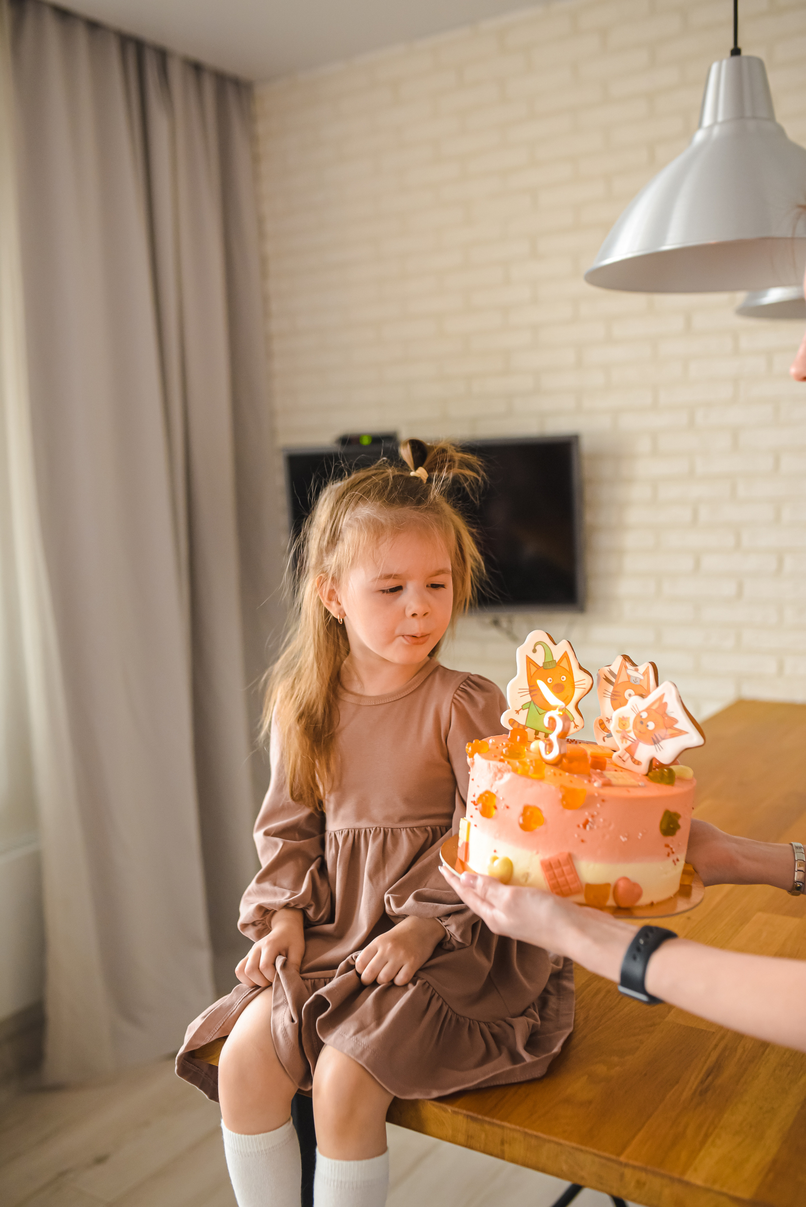 Тая и три кота. Семейный и детский фотограф в Новосибирске Доронина Ольга