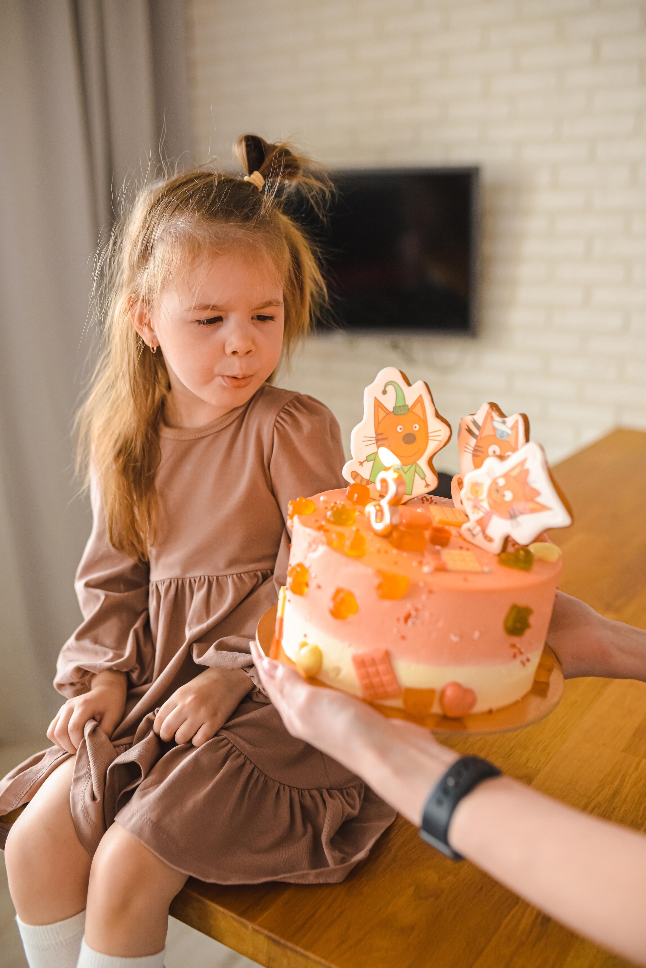 Тая и три кота. Семейный и детский фотограф в Новосибирске Доронина Ольга