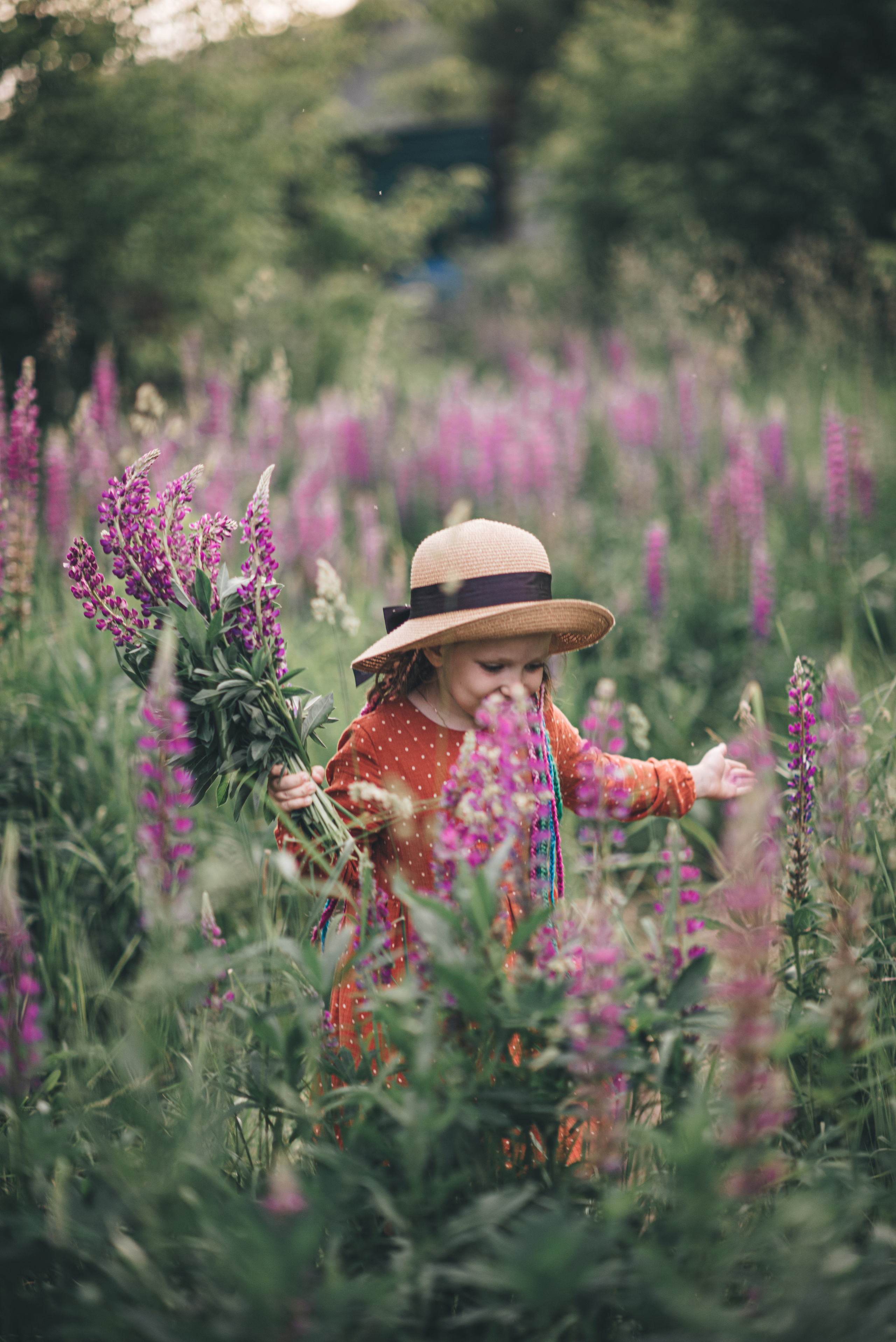 Сонечка. Семейный и детский фотограф в Новосибирске Доронина Ольга