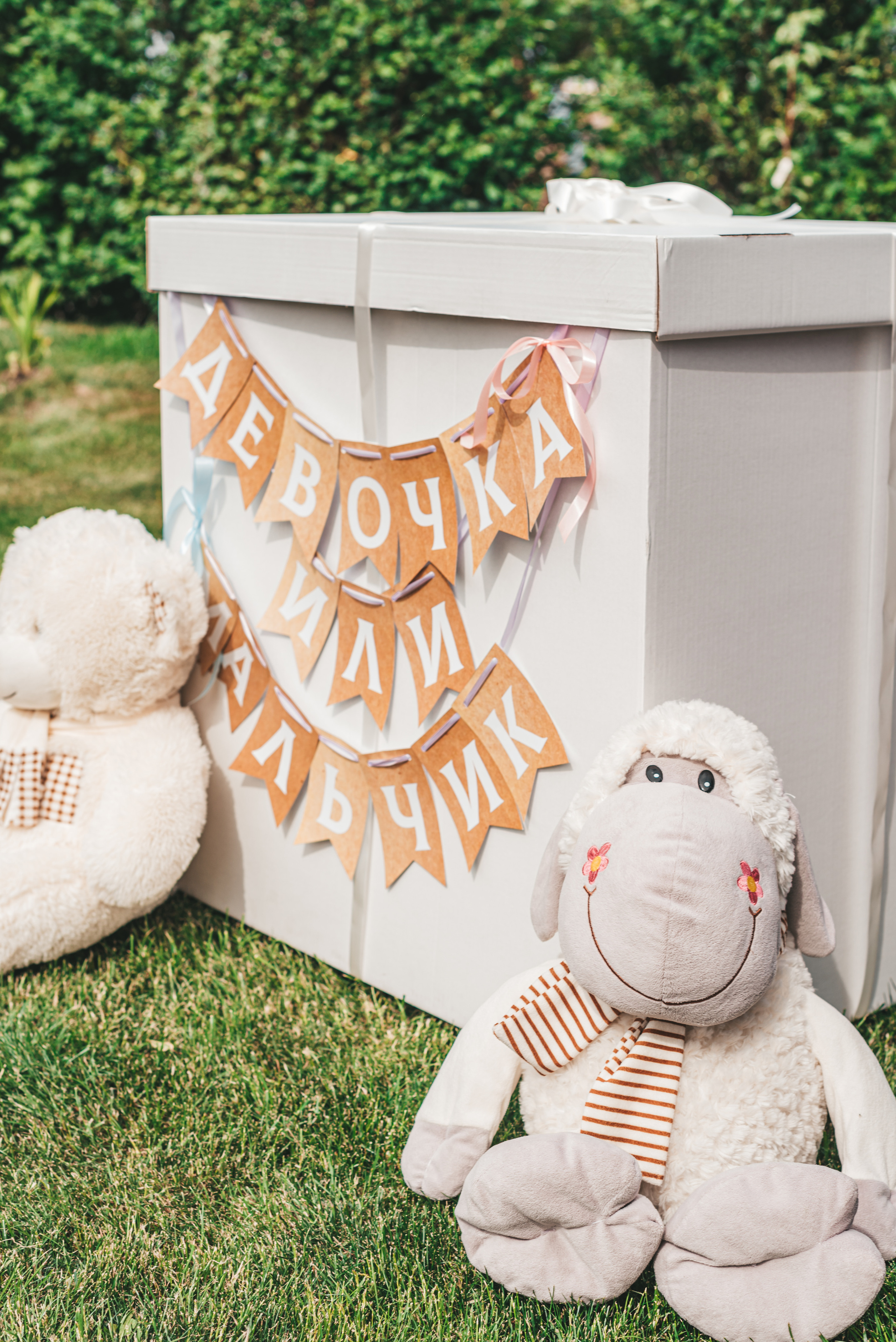 Мальчик или Девочка. Семейный и детский фотограф в Новосибирске Доронина Ольга