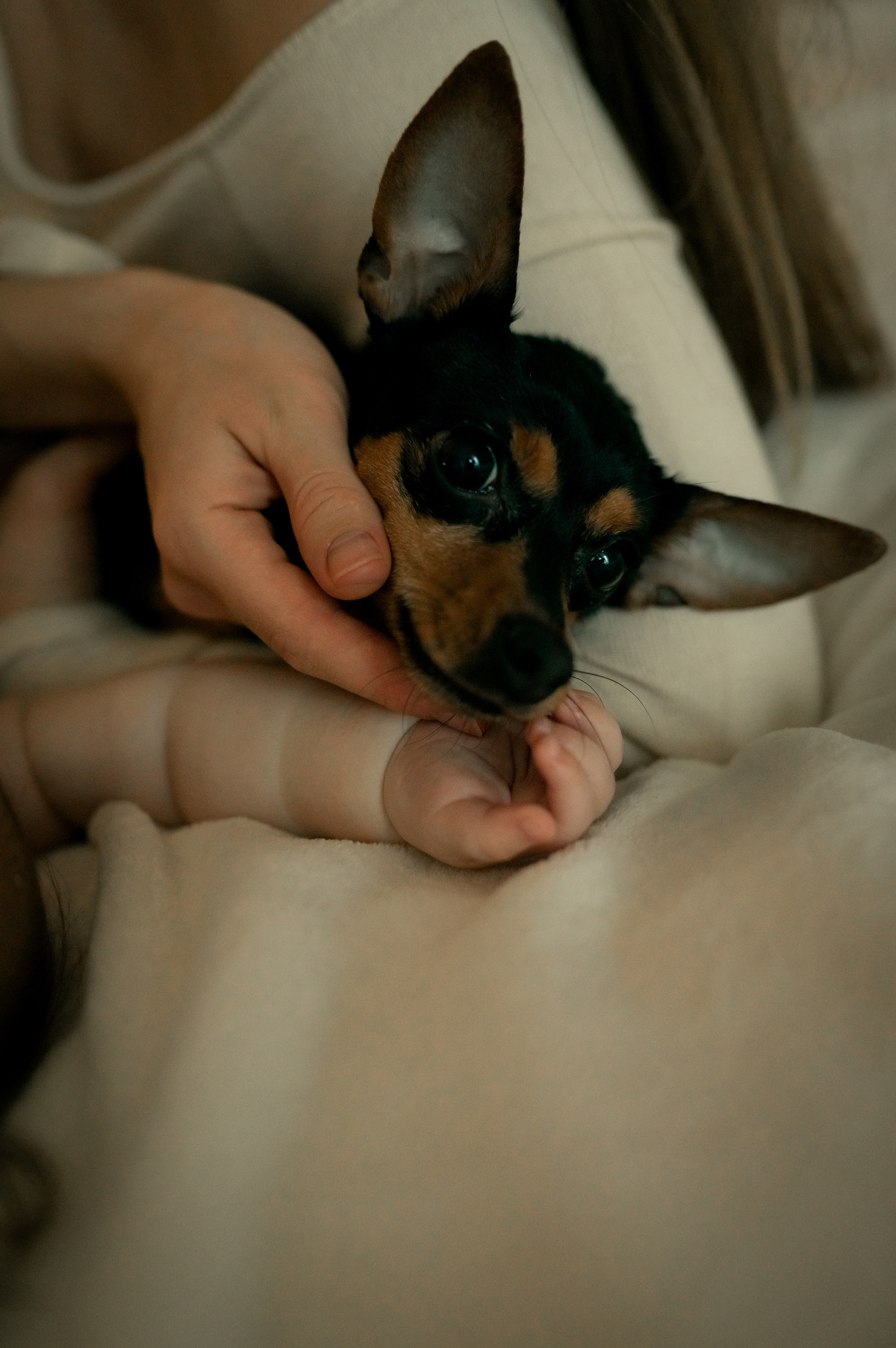 Родители с новорожденным малышом. Фотограф новорождённых, семейный, школьный в городе Калуге Евгения