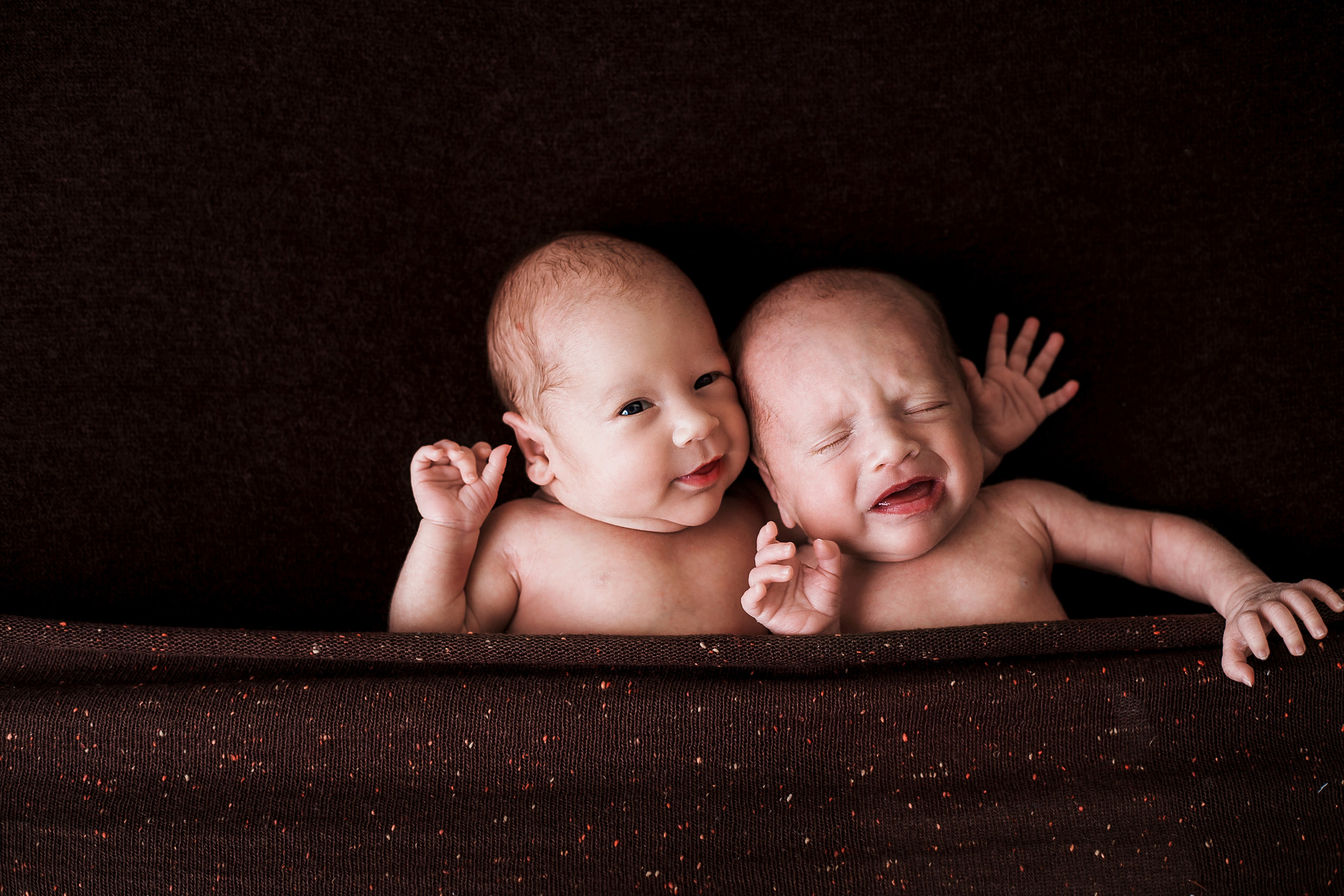 Таисия и Есения, пакет «Стандарт», 21 день. Фотограф новорождённых Екатерина Боброва. Ульяновск