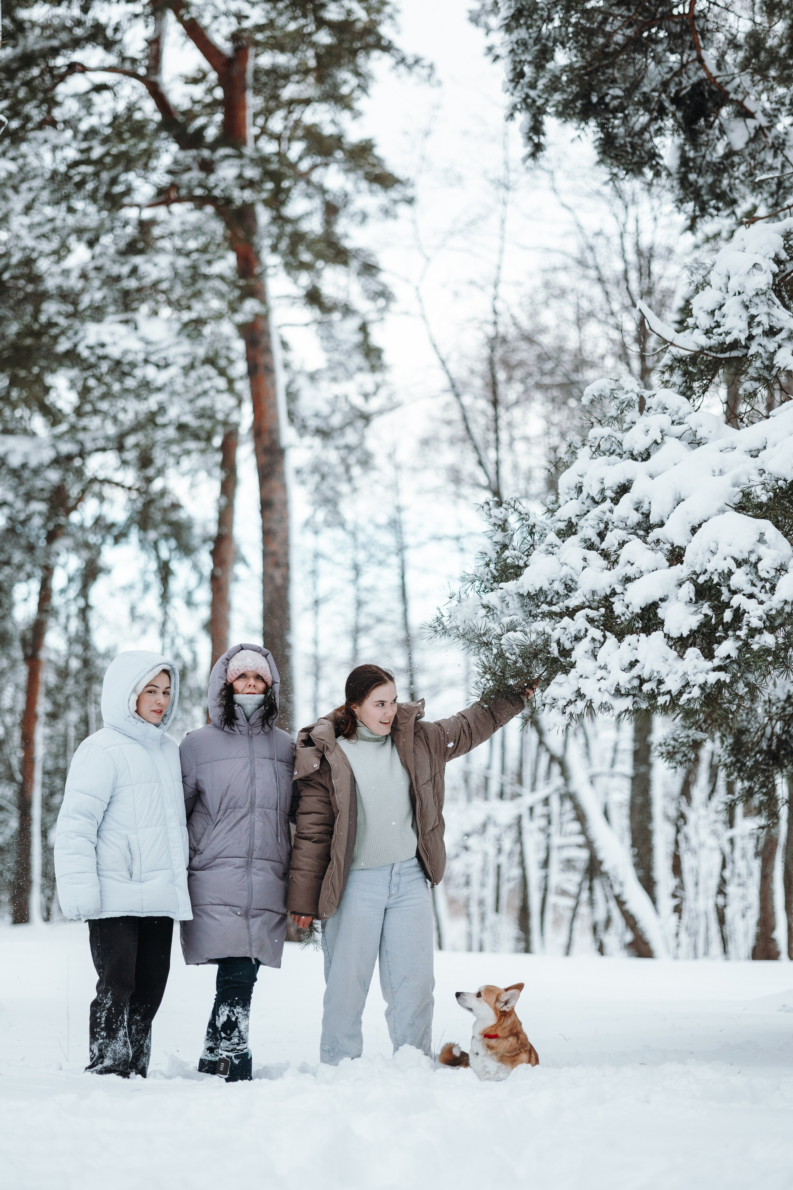Оливка и ее семья. Фотограф — Анималист | Санкт-Петербург