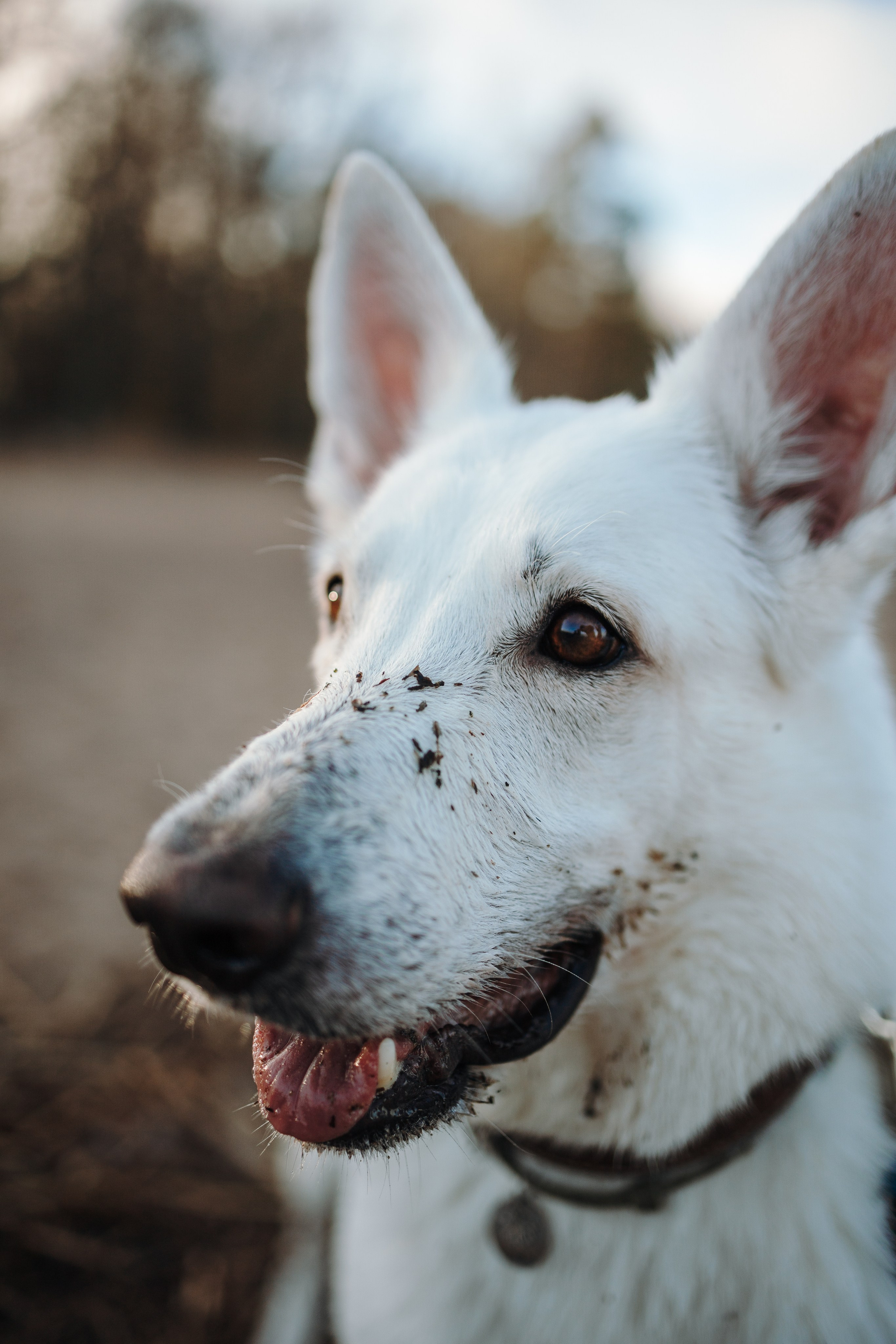 Настя и Эва. Фотограф — Анималист | Санкт-Петербург
