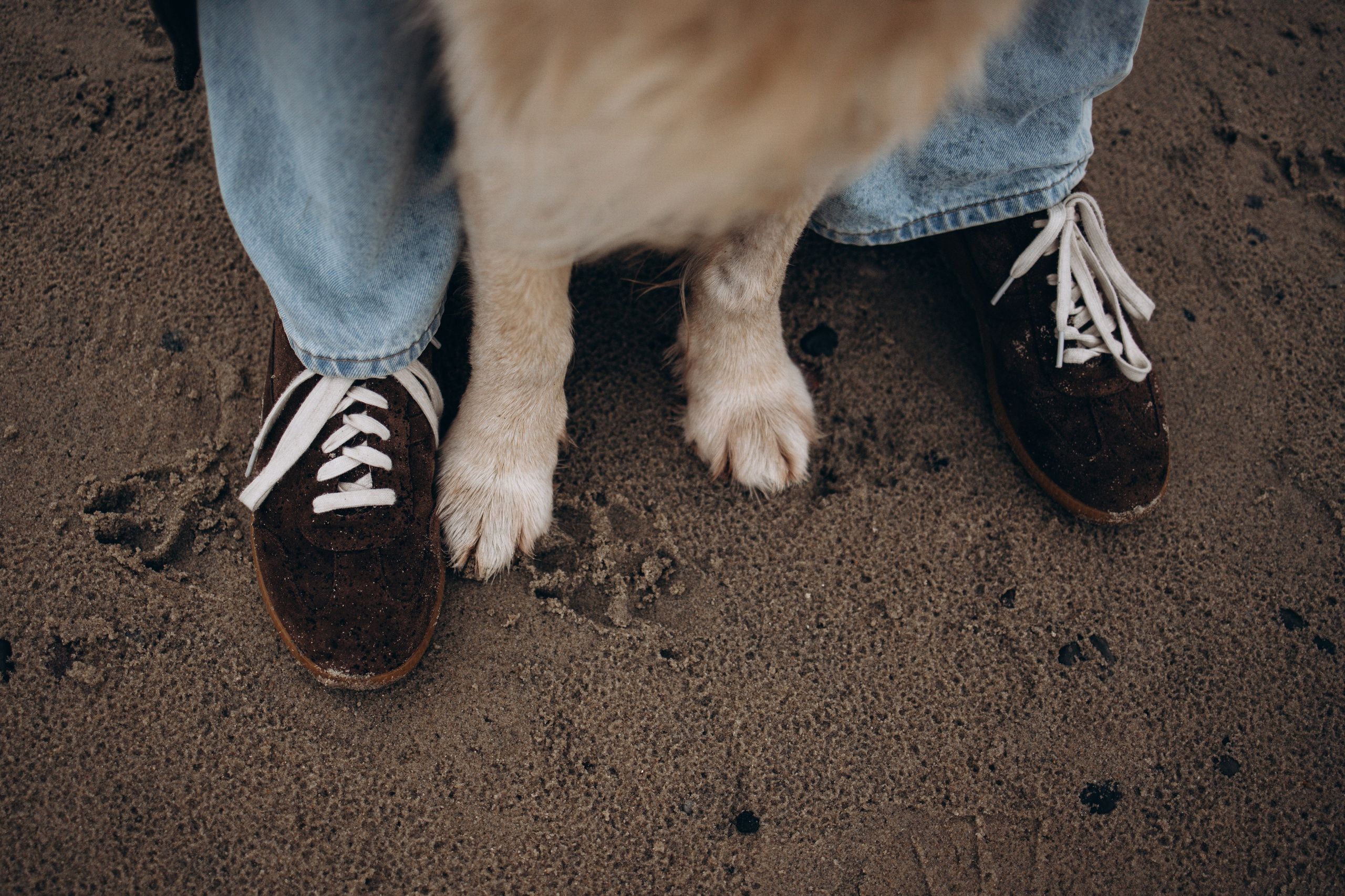Юля и Максик. Фотограф — Анималист | Санкт-Петербург