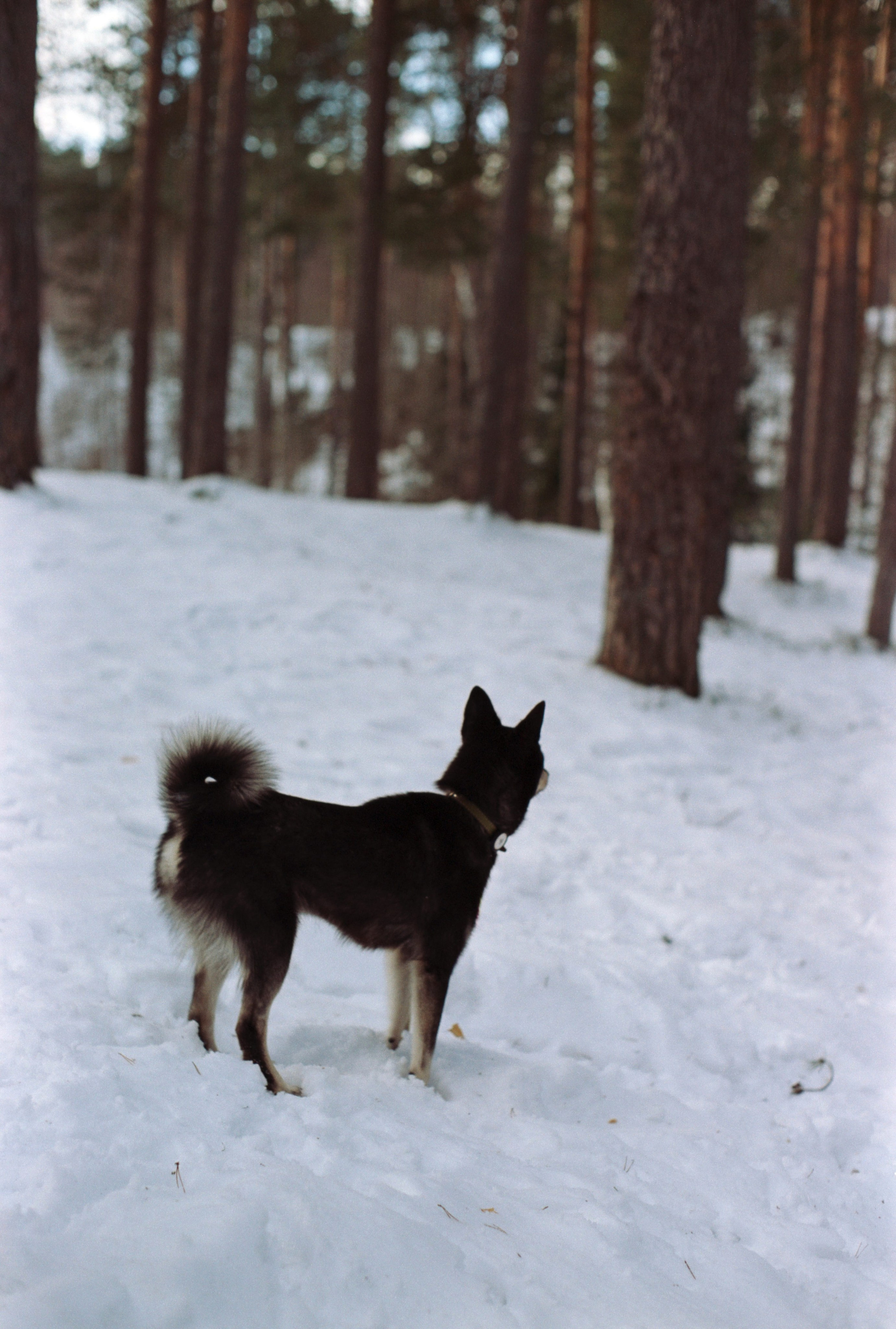 W. Стилист и плёночный фотограф Анастасия Шлокова в Санкт-Петербурге и Москве