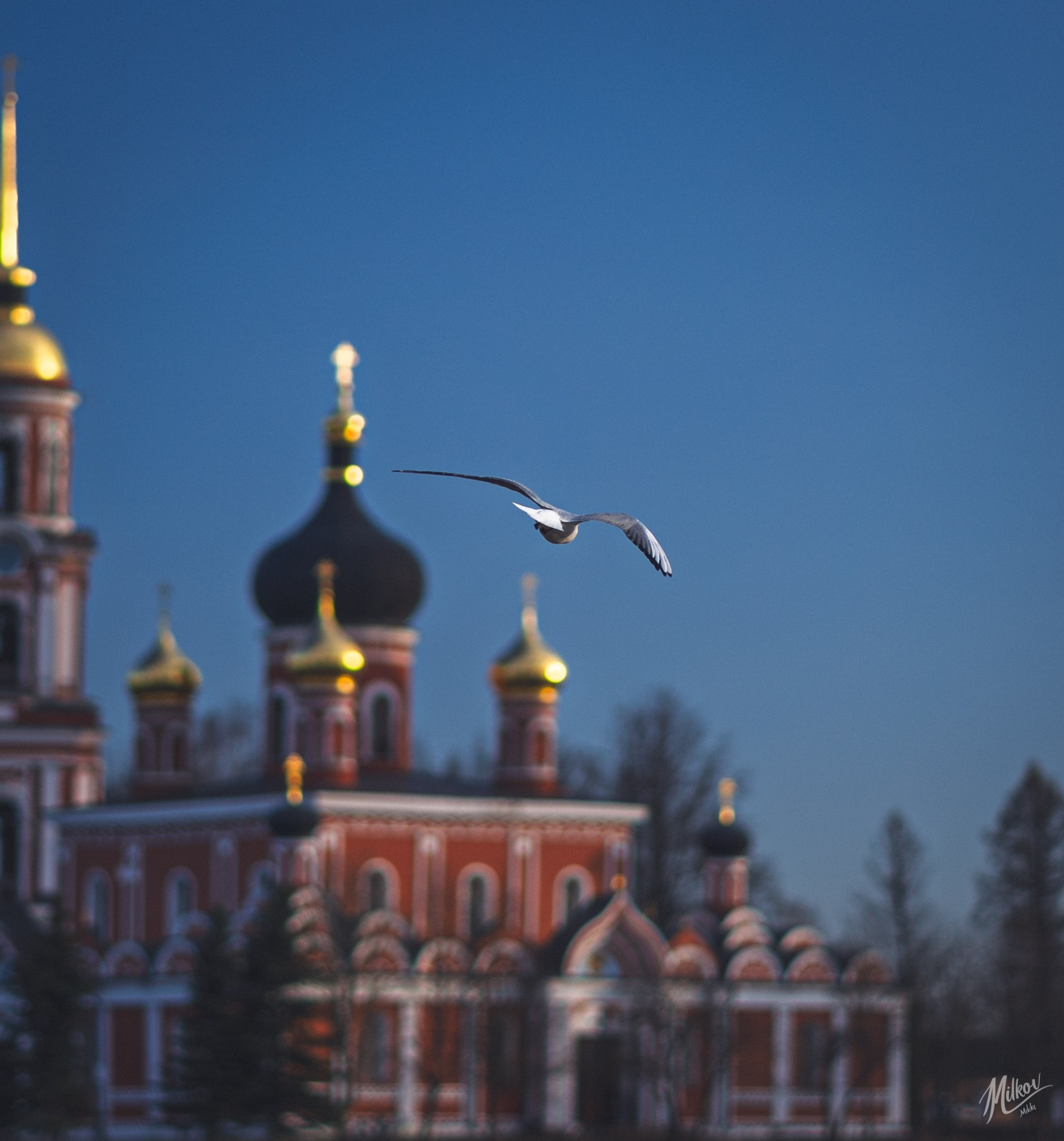 Стрит фото. Mikoff — Воспоминания и эмоции неподвластные времени