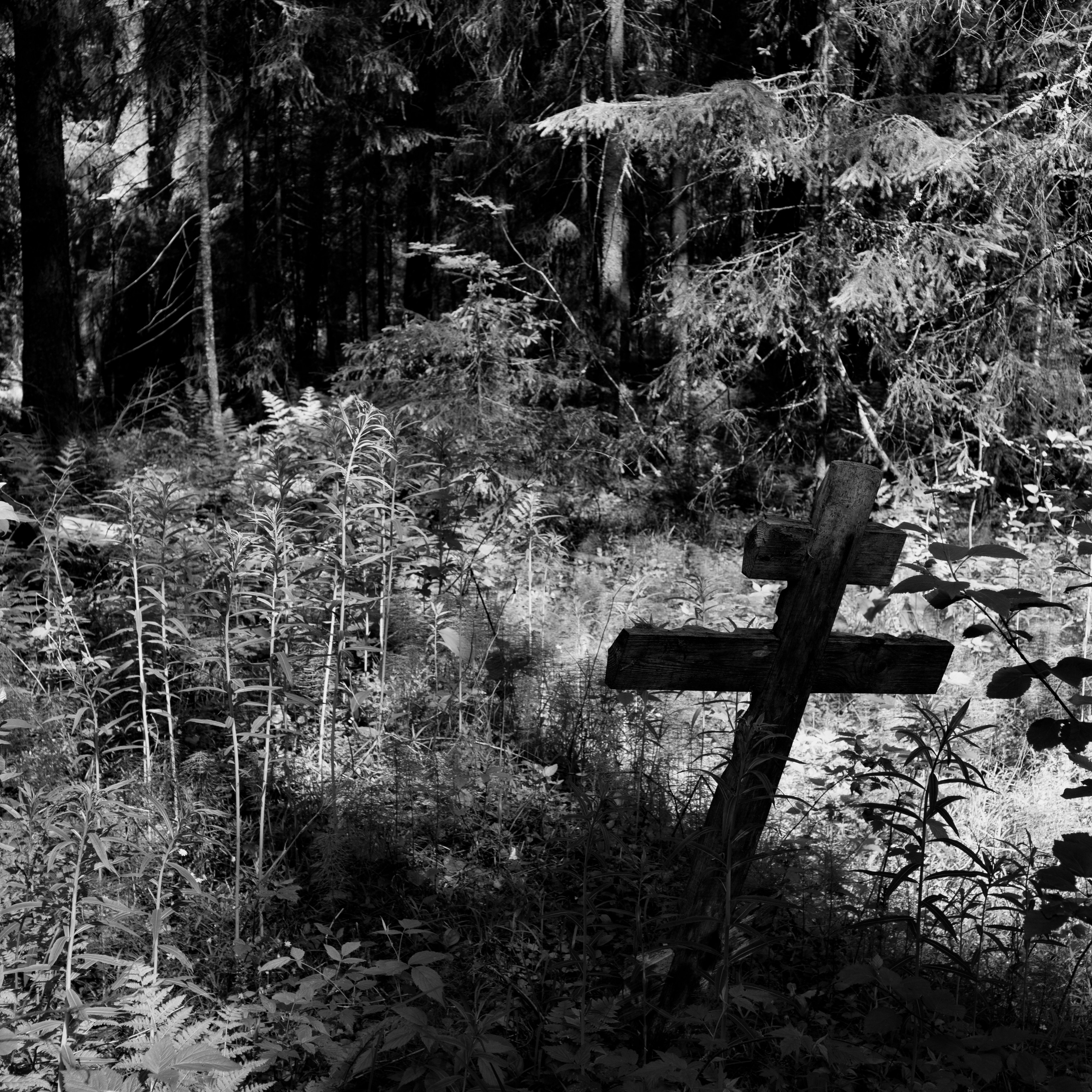 Память. Фотограф Александр Тихонов